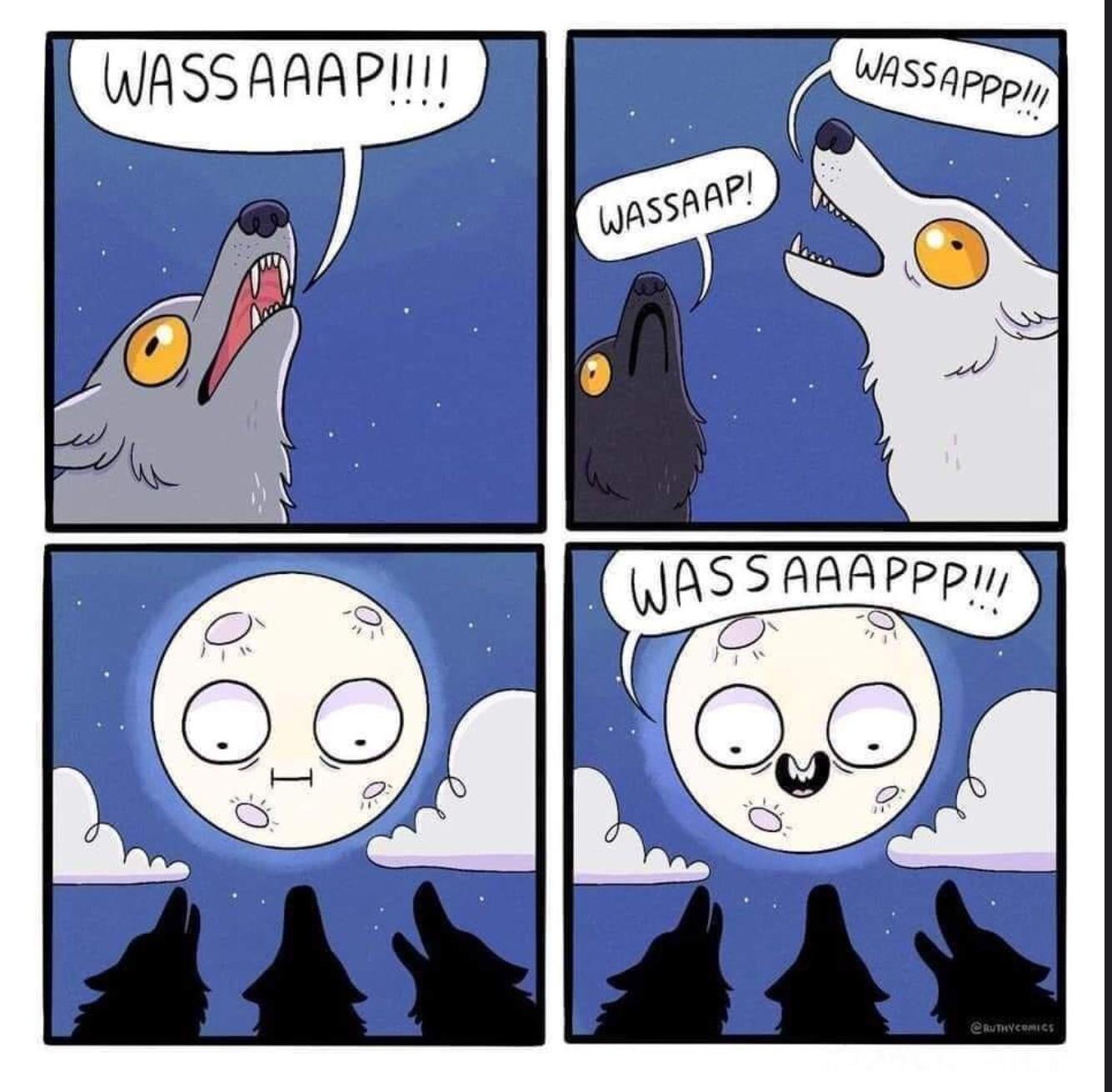 Exploring the Idea: Can Memes Become a Hobby?
