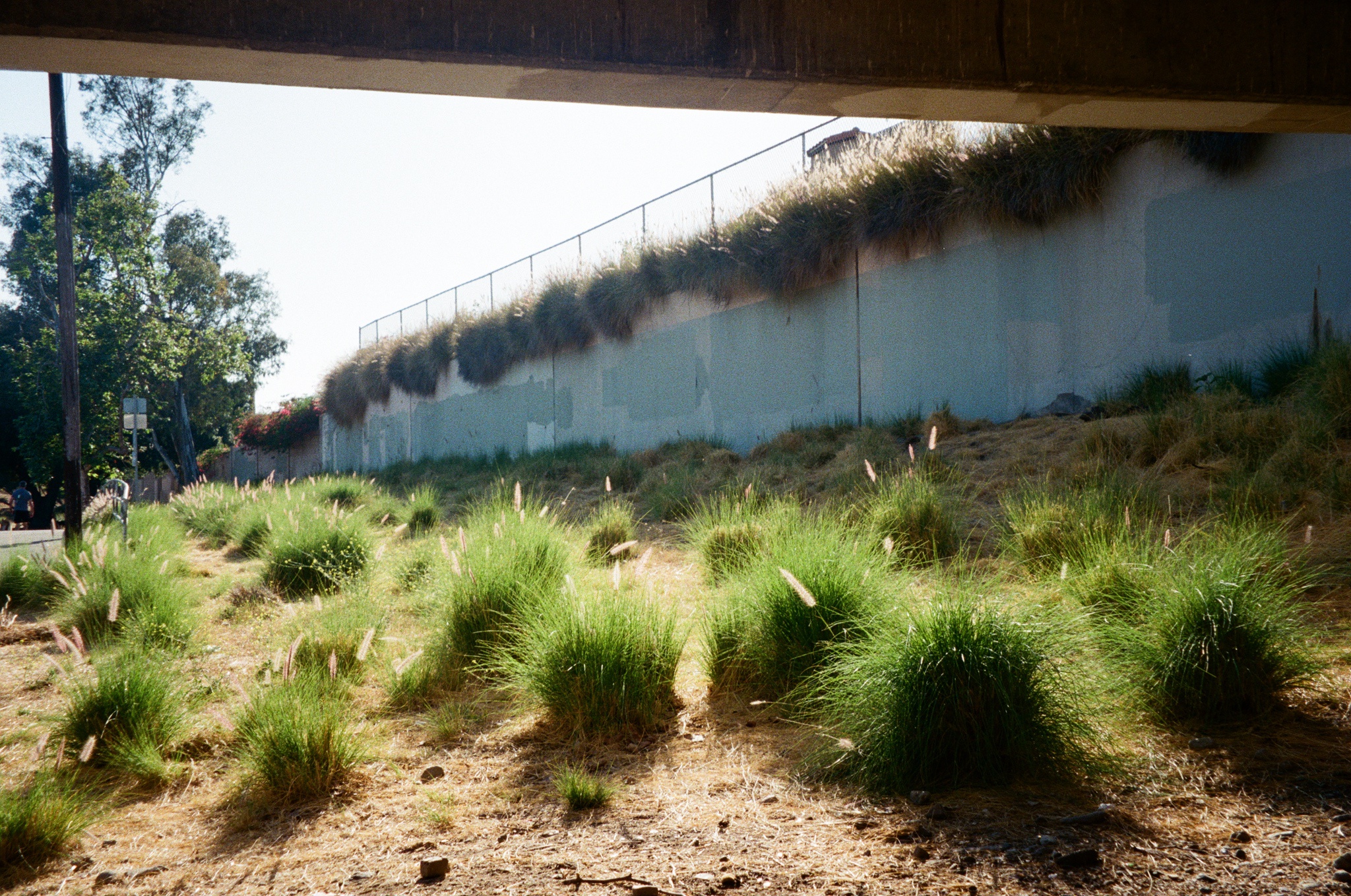 A Glimpse of 35mm Film in Orange, CA - 10:24