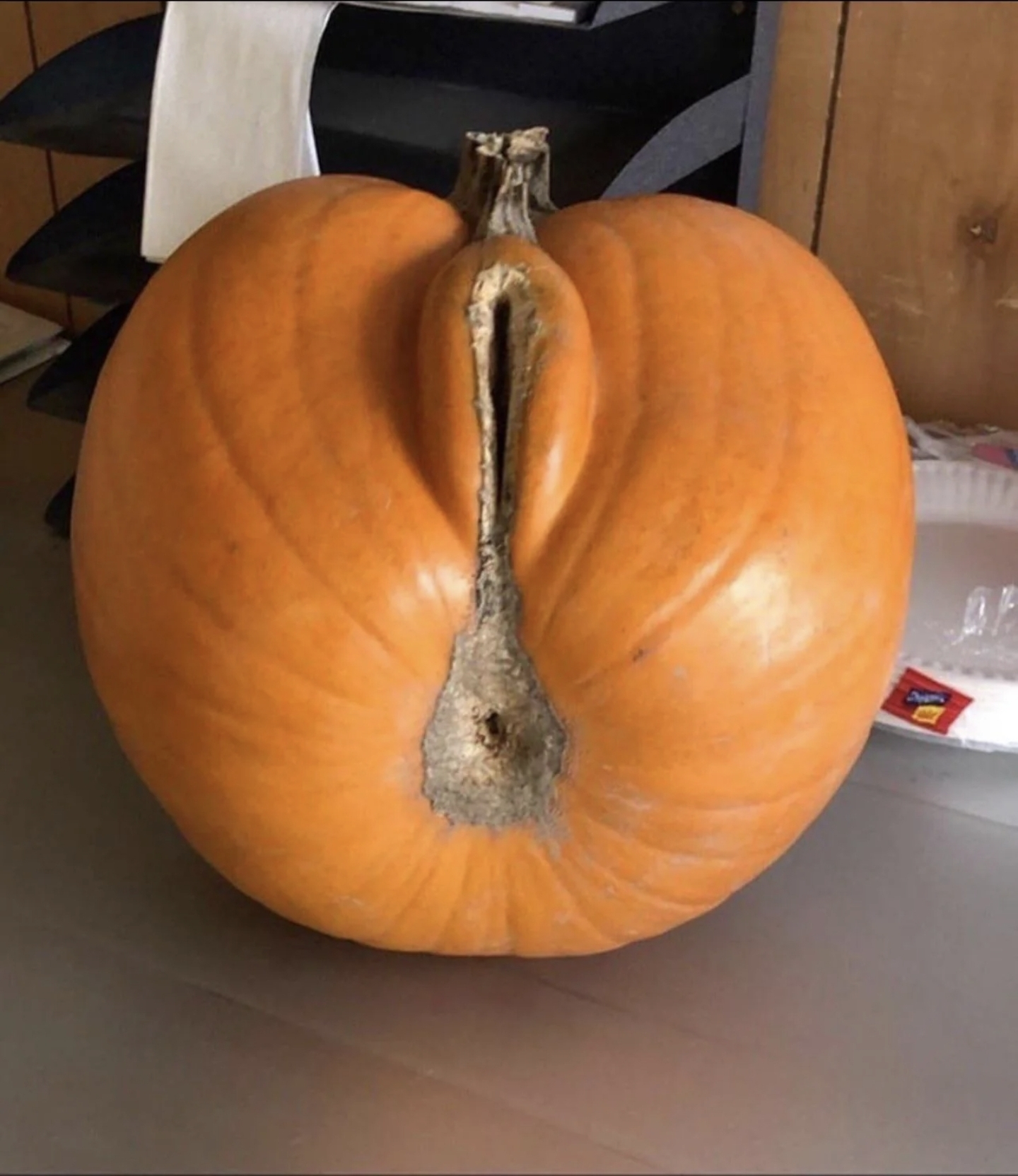 What on Earth is This Unholy Pumpkin Creation?