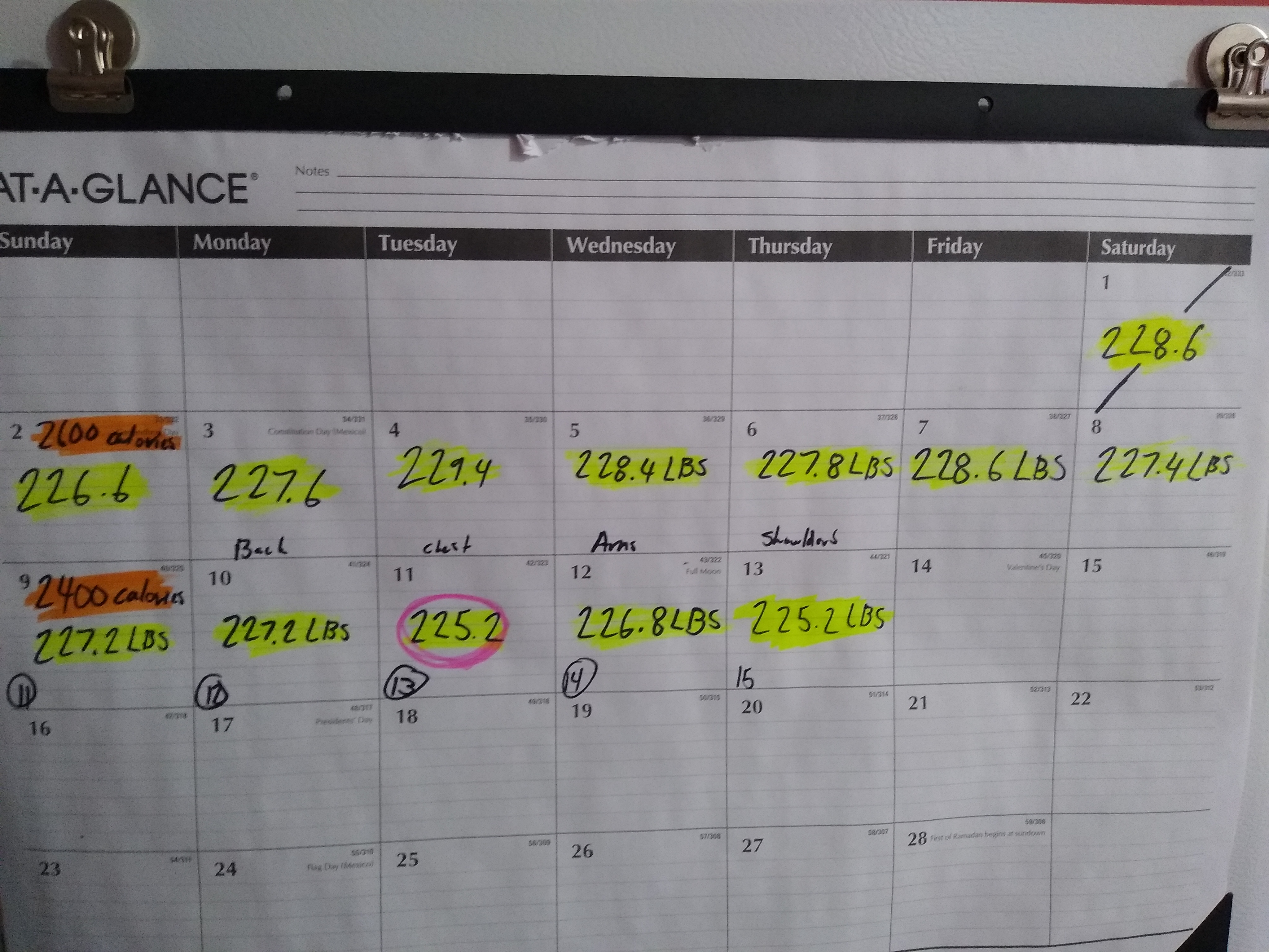 Day 15 of Tracking Calories: Daily Weigh-In