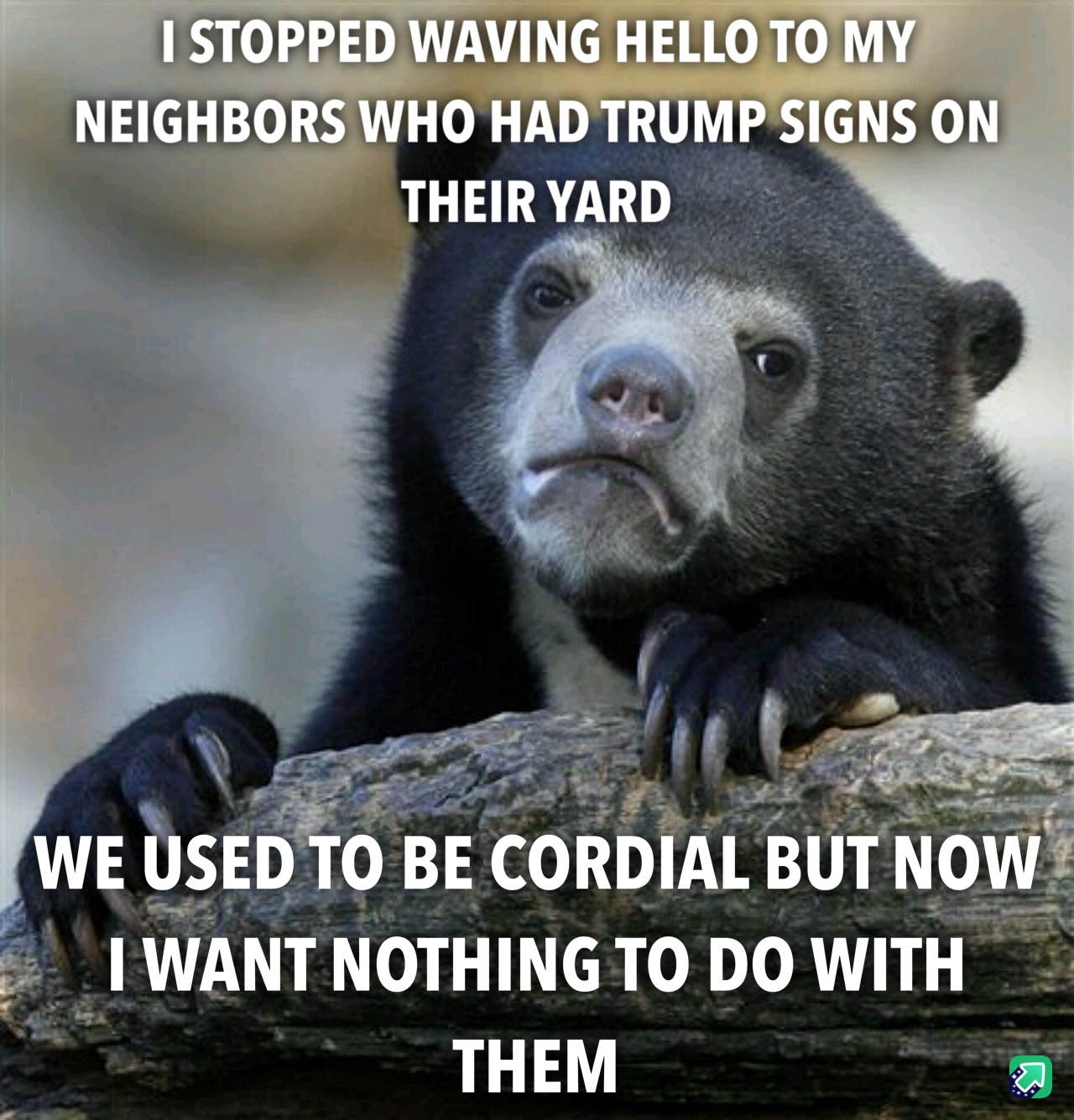 I can't help but blame them for all the fear and frustration I'll face in the next four years