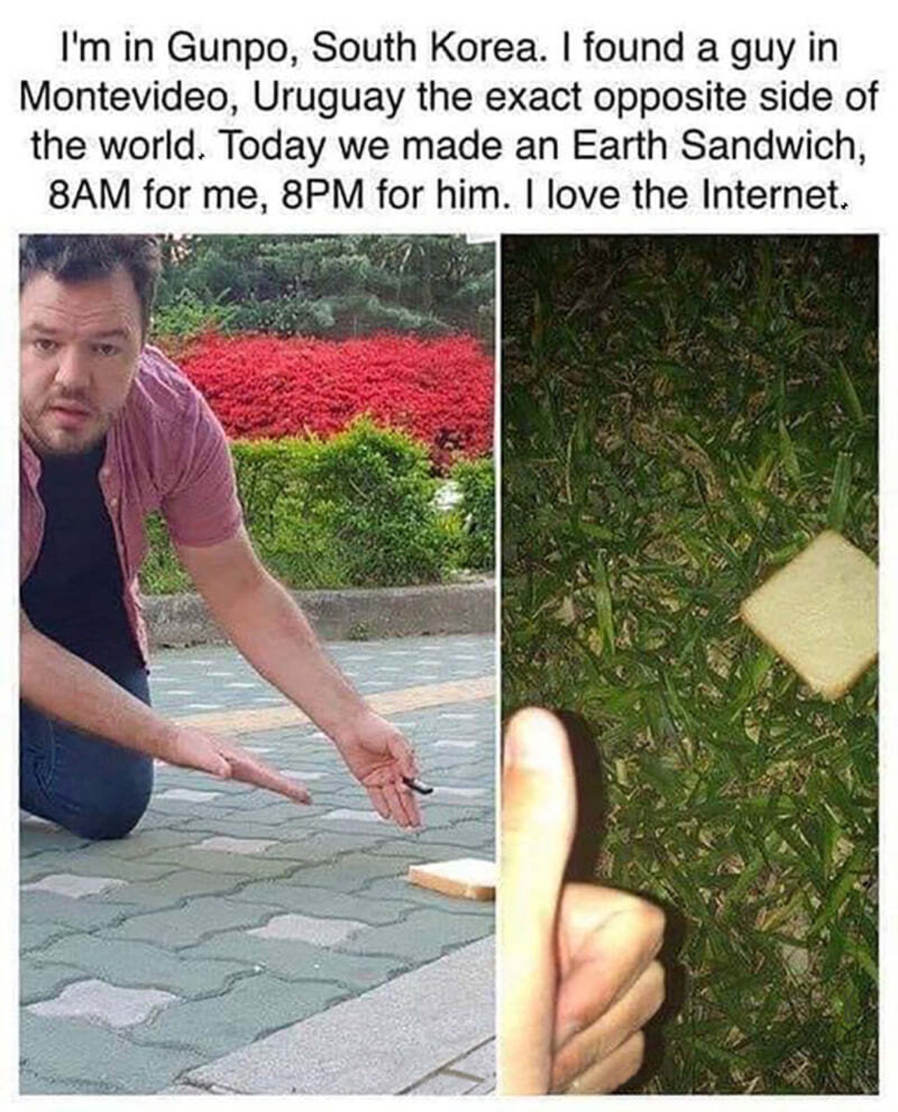 The Epic Earth Sandwich: A Culinary Marvel
