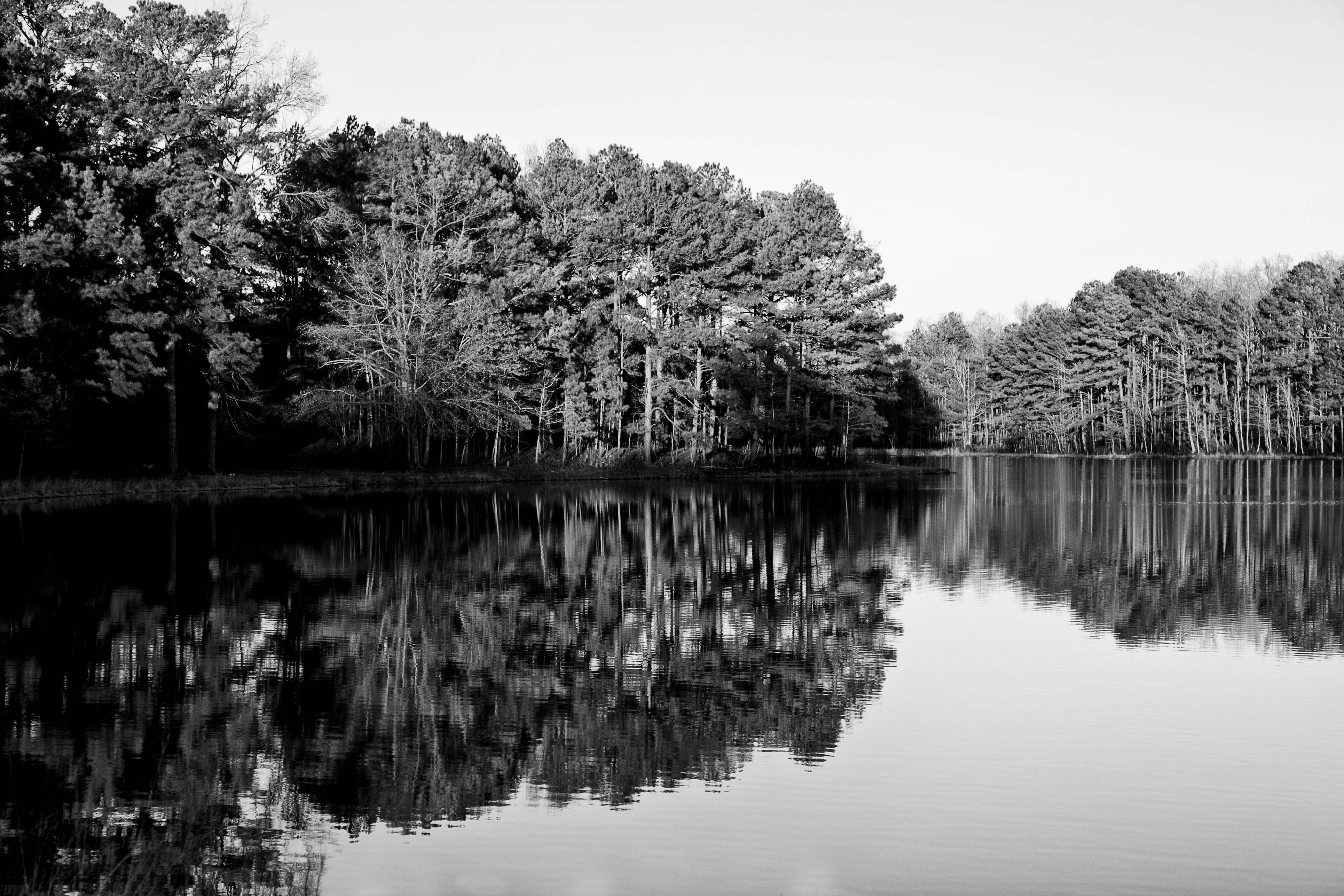 Contemplating the serene reflections on the lake