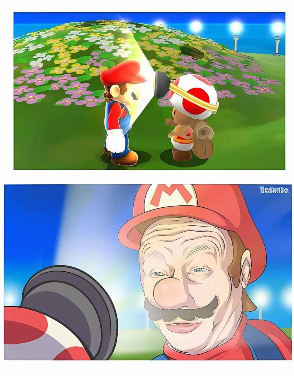 POV: You Are Toad in a Whimsical Adventure