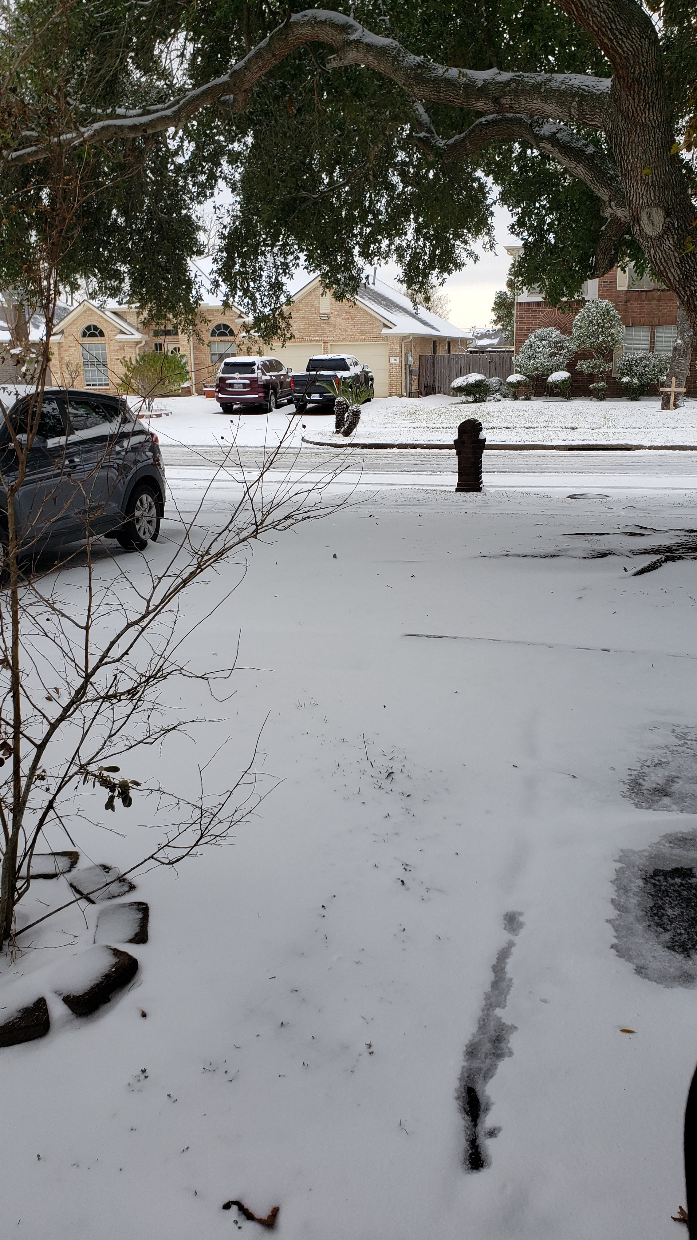 Texas Snow Day: A Rare 2025 Experience