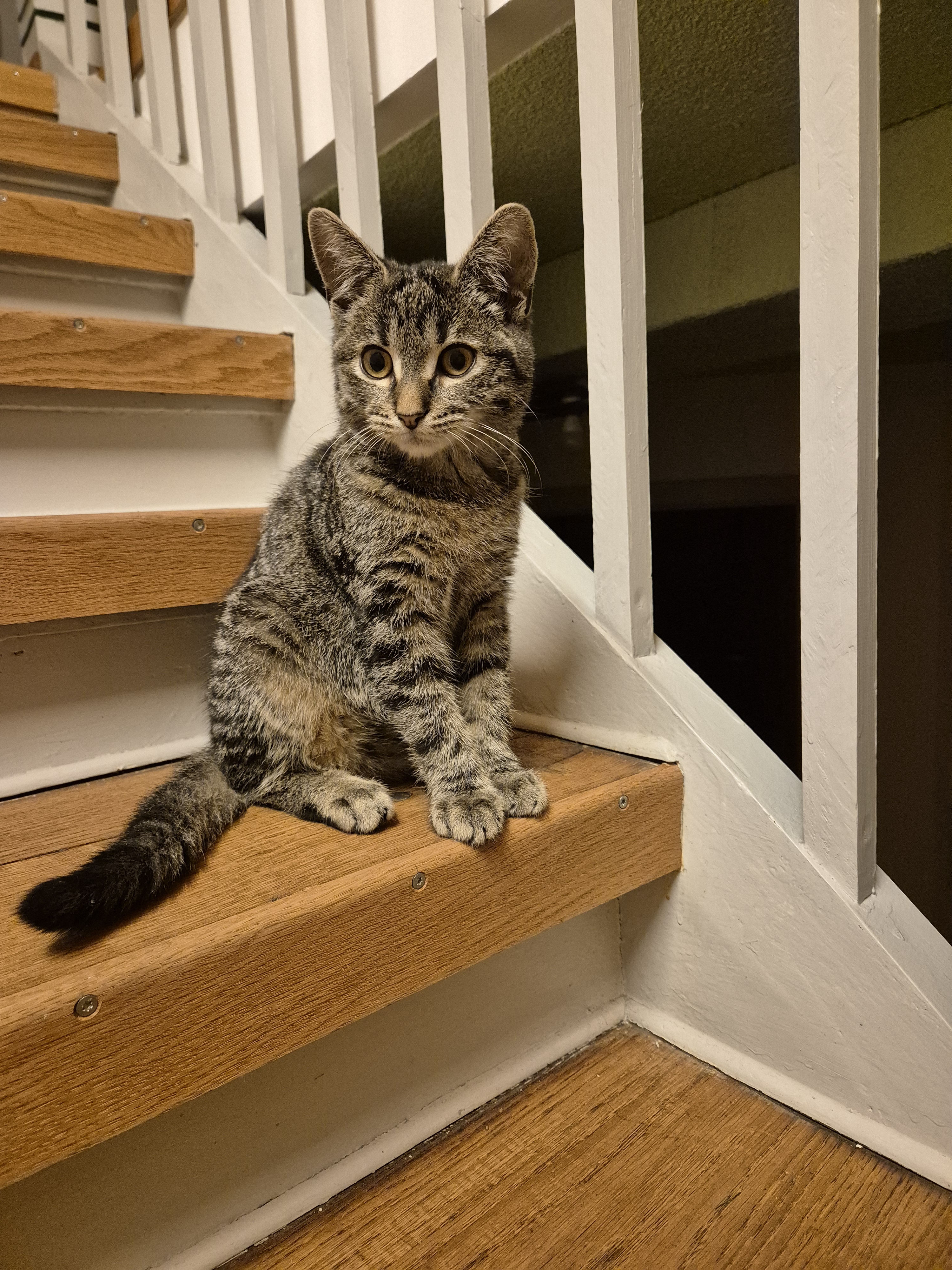 We Tragically Lost Him to FIP