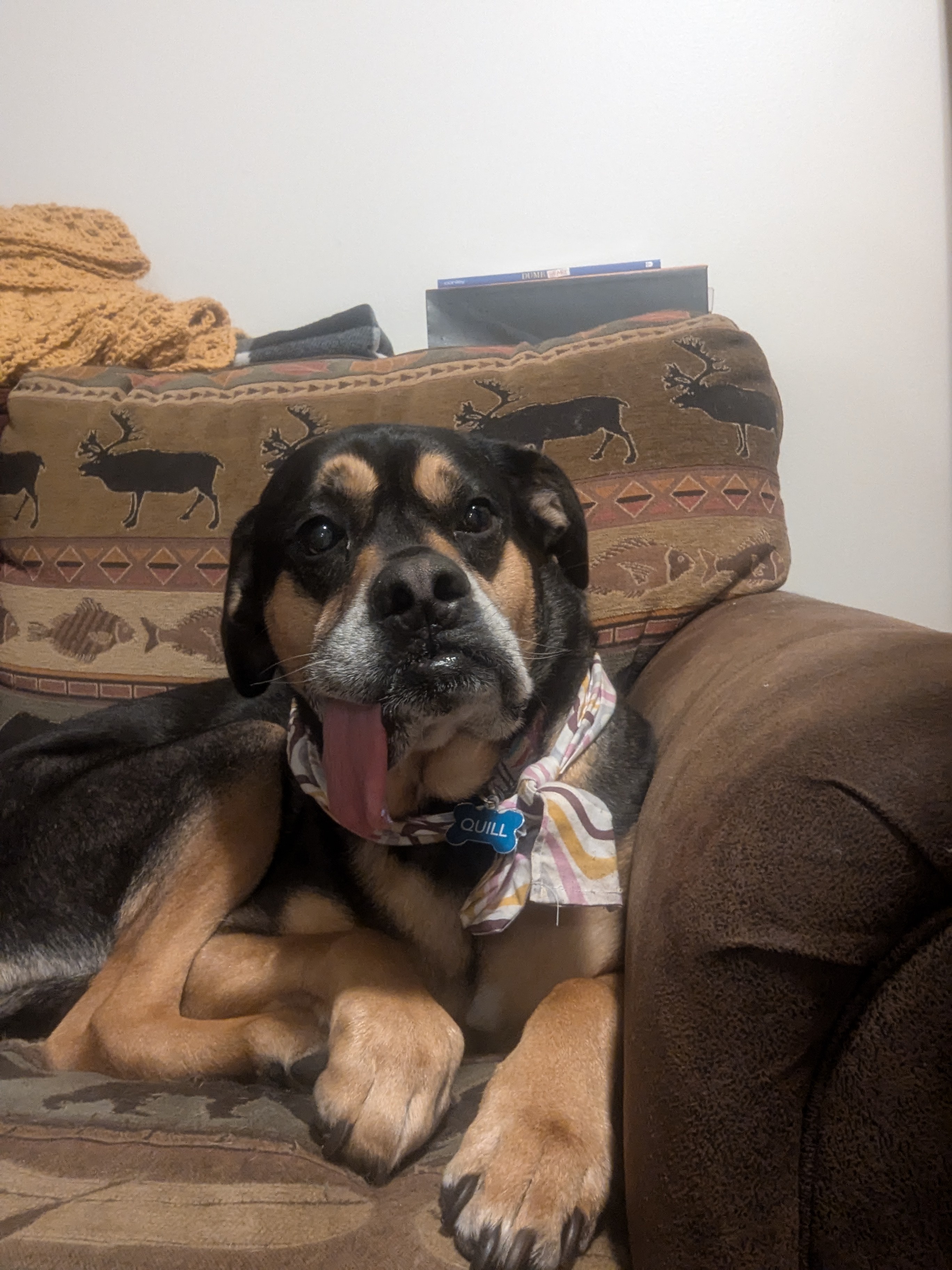 Classic derp moment!