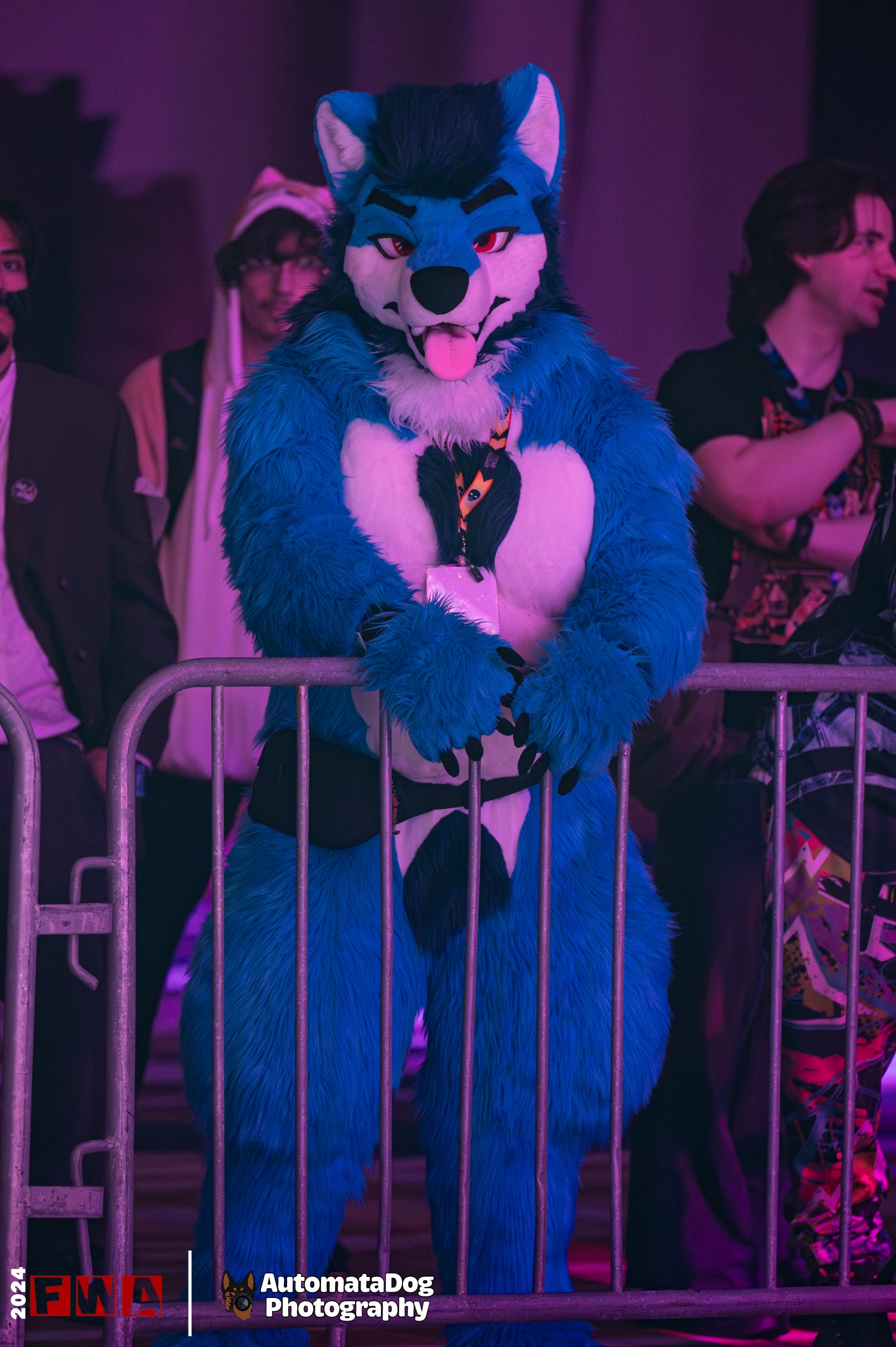 A furry photographer's daily snapshot - Day 402