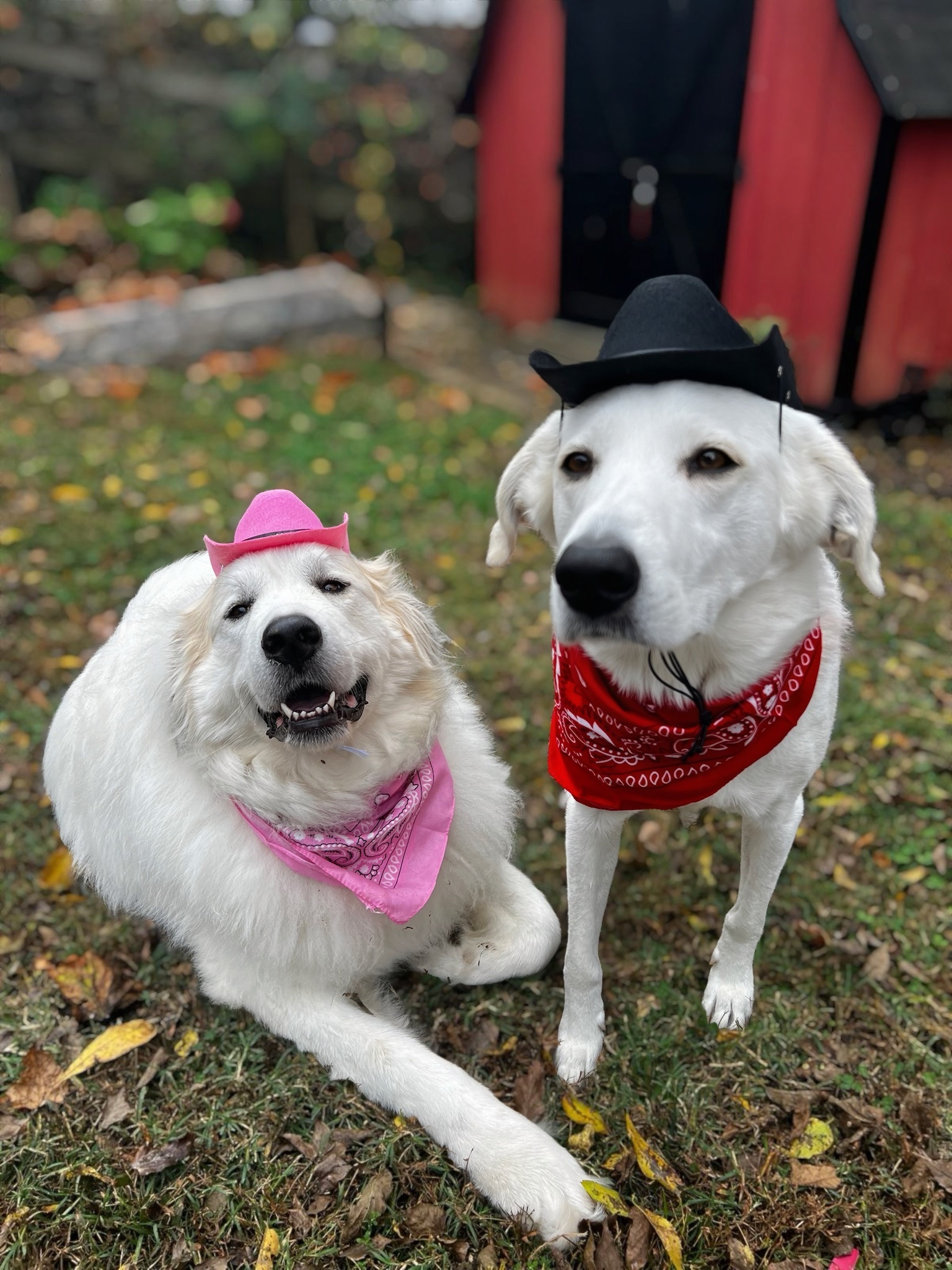 Wishing You a Spooktacular Halloween Celebration!