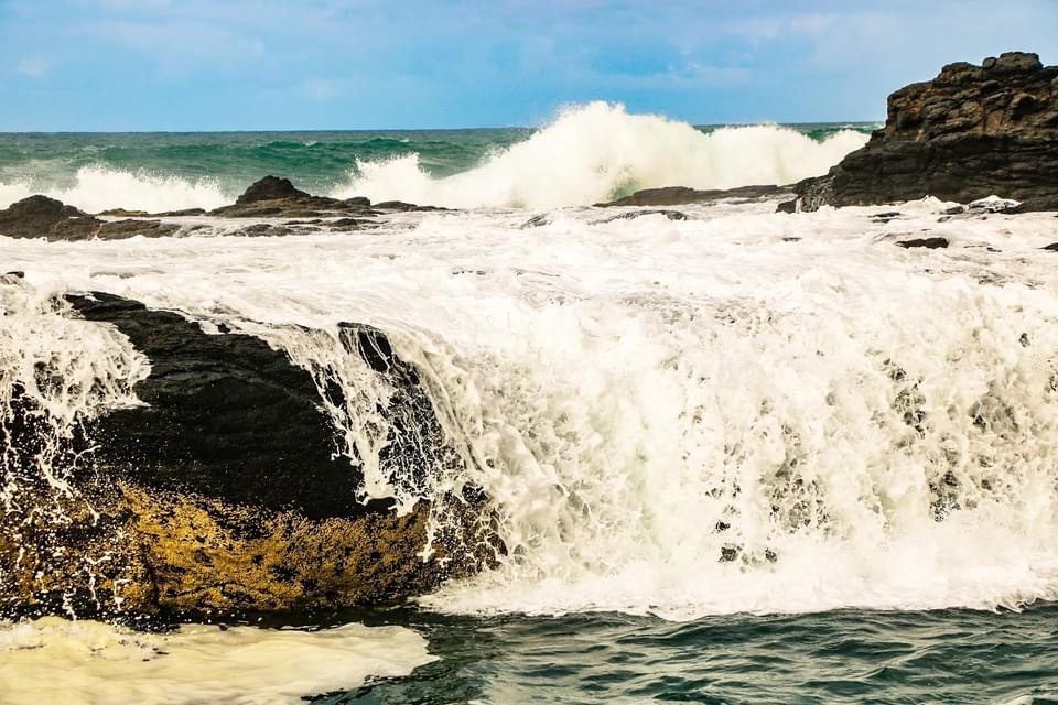 Taking action for our oceans