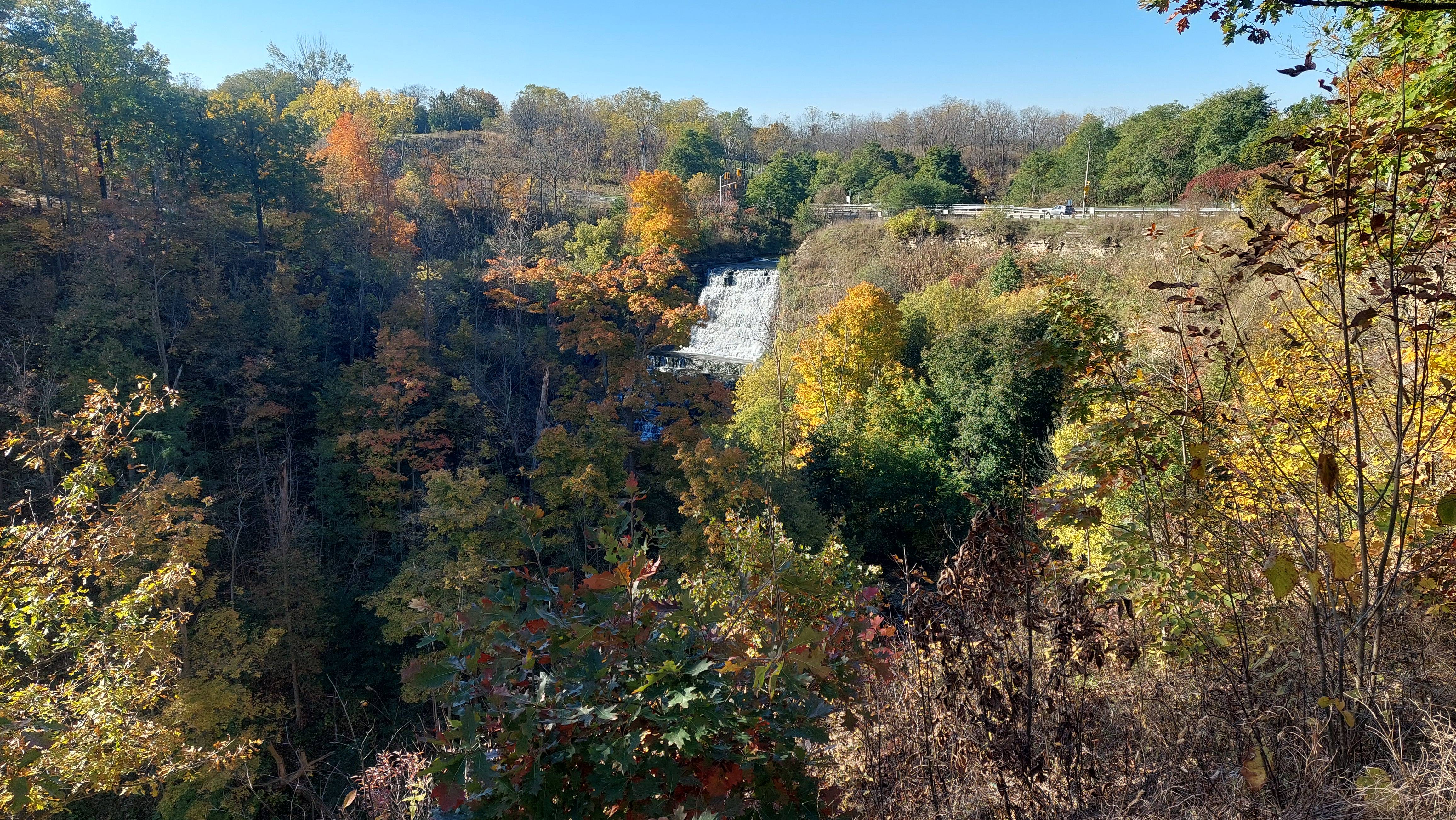 When Autumn Takes a Tumble: Fall Falls