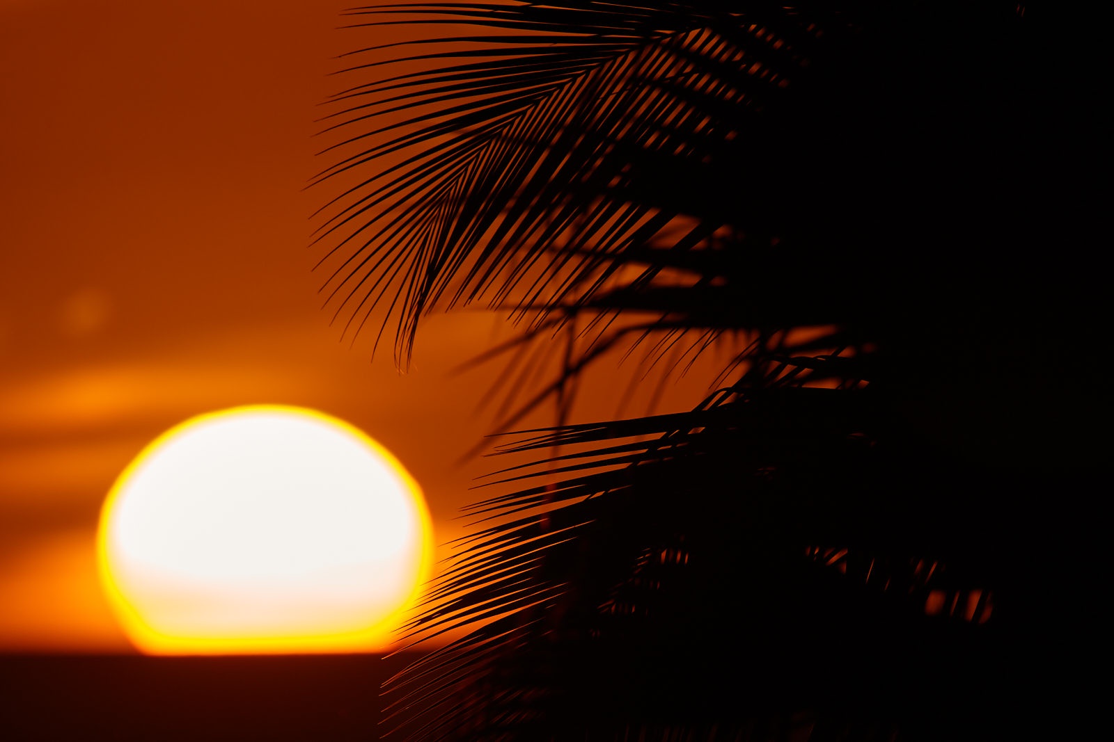 Breathtaking Maui Sunset from My Lanai