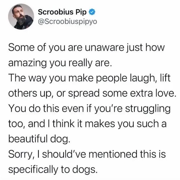 What a good boy!