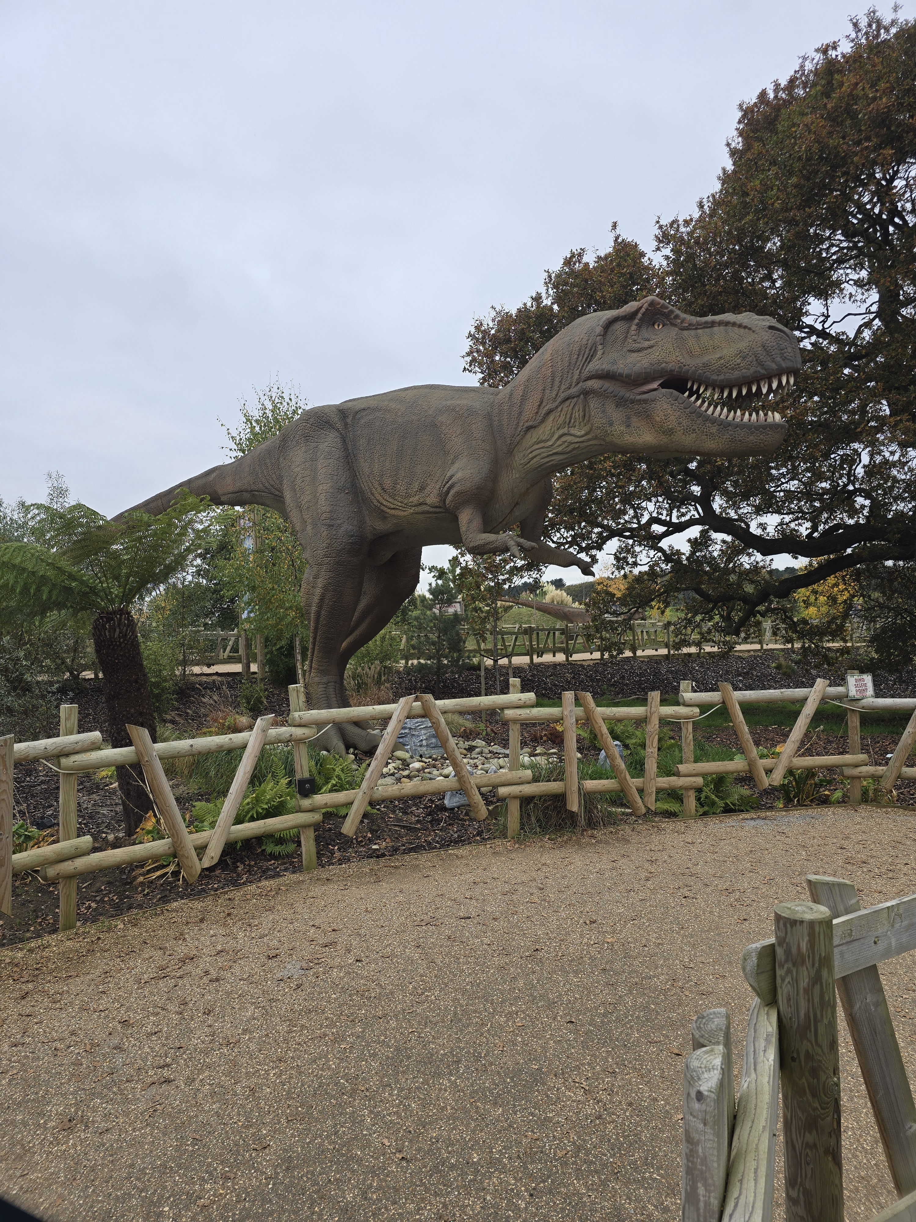 Meet the intriguing creature from the age of dinosaurs