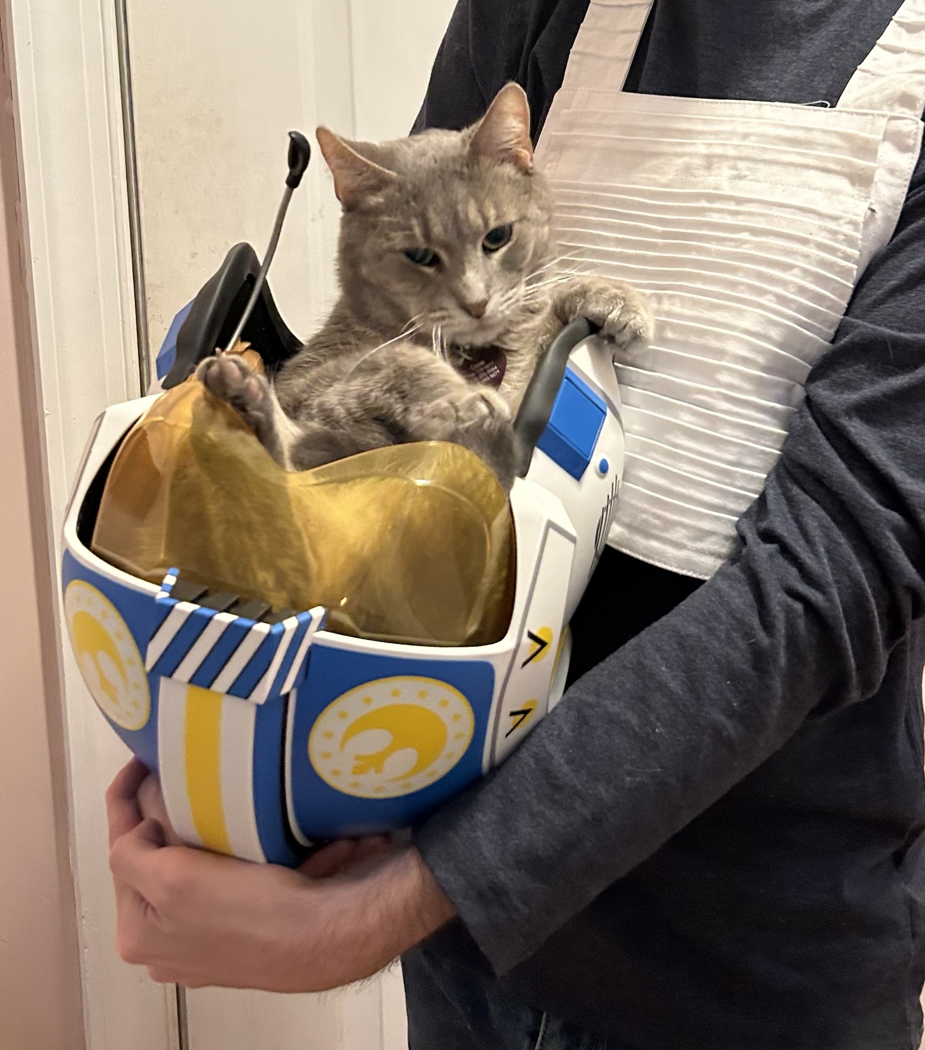 My Halloween copilot is absolutely no help at all!
