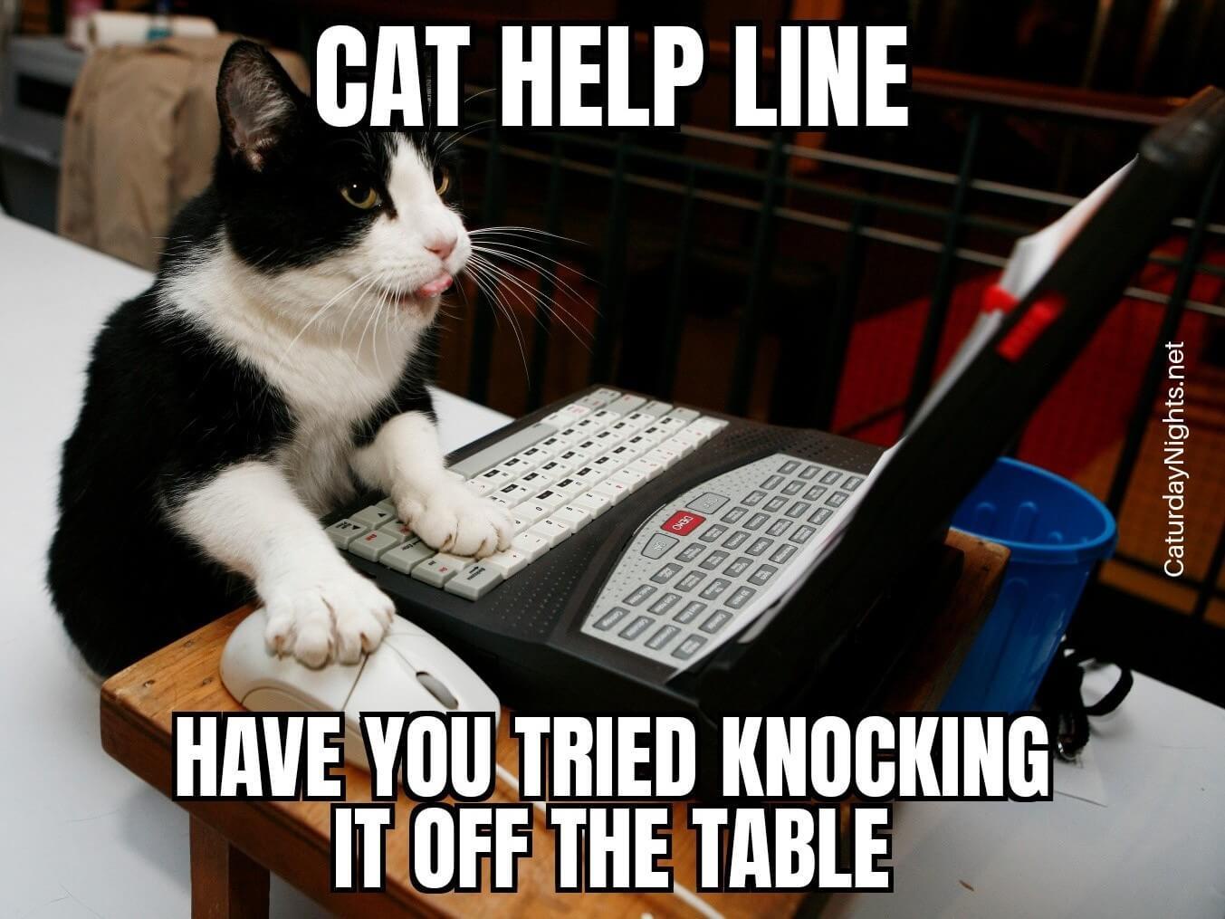 When You Call Technical Support and Hope for the Best