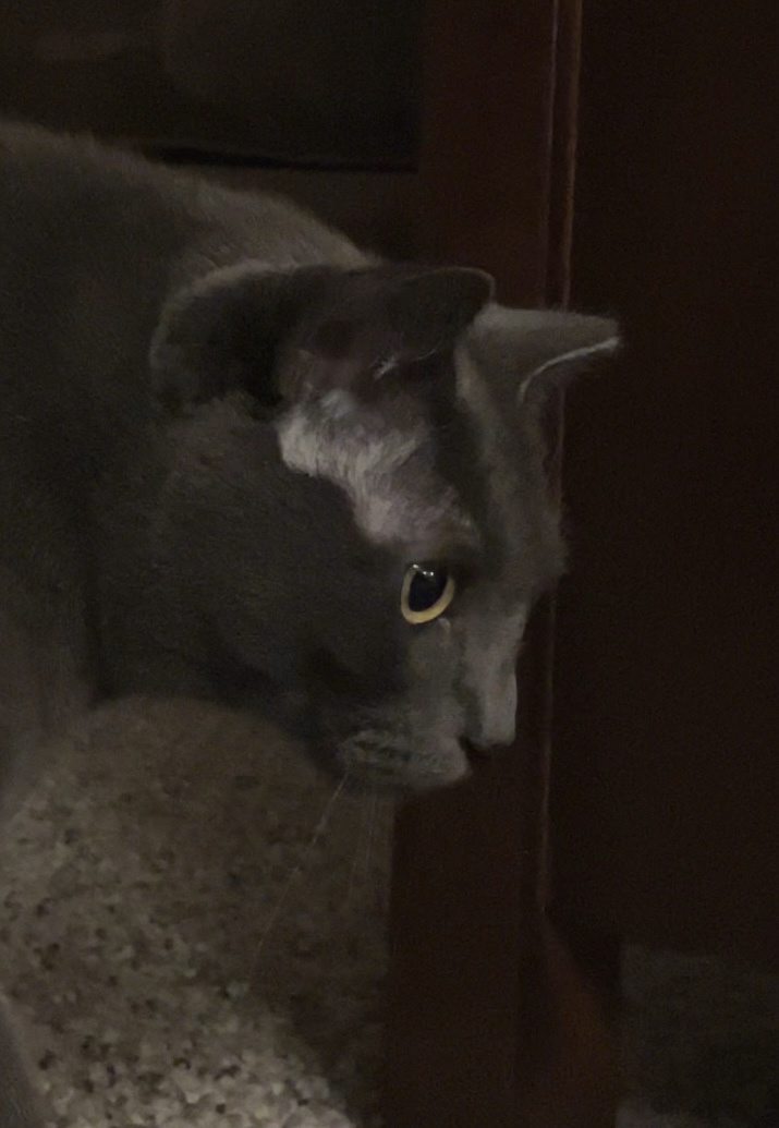 Daily Snick Pic: Episode #52