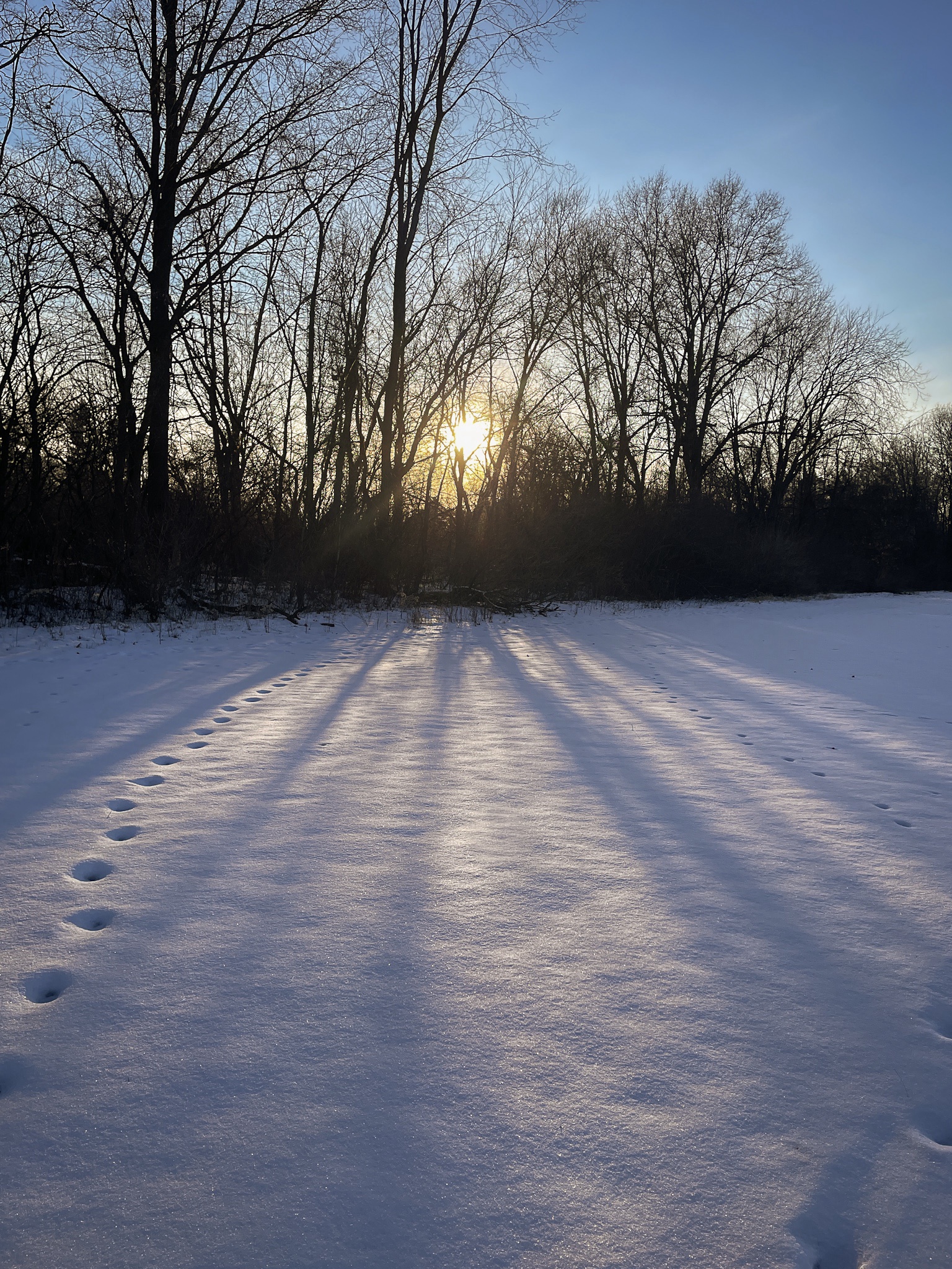 Chill Saturday Vibes in Southern Michigan