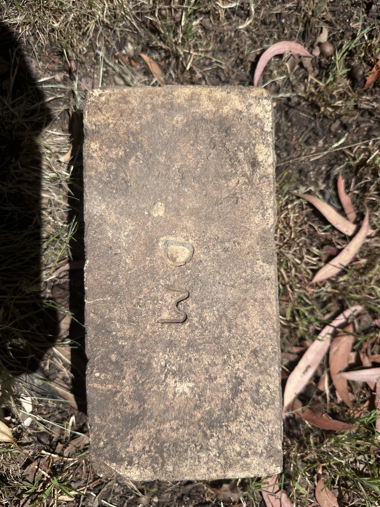I Discovered This Brick and I'm Naming It 'Drastic Matters'
