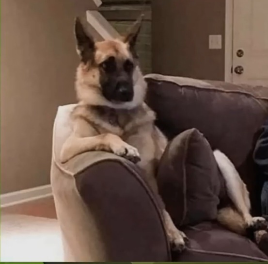 Just Chilling and Enjoying the Moment