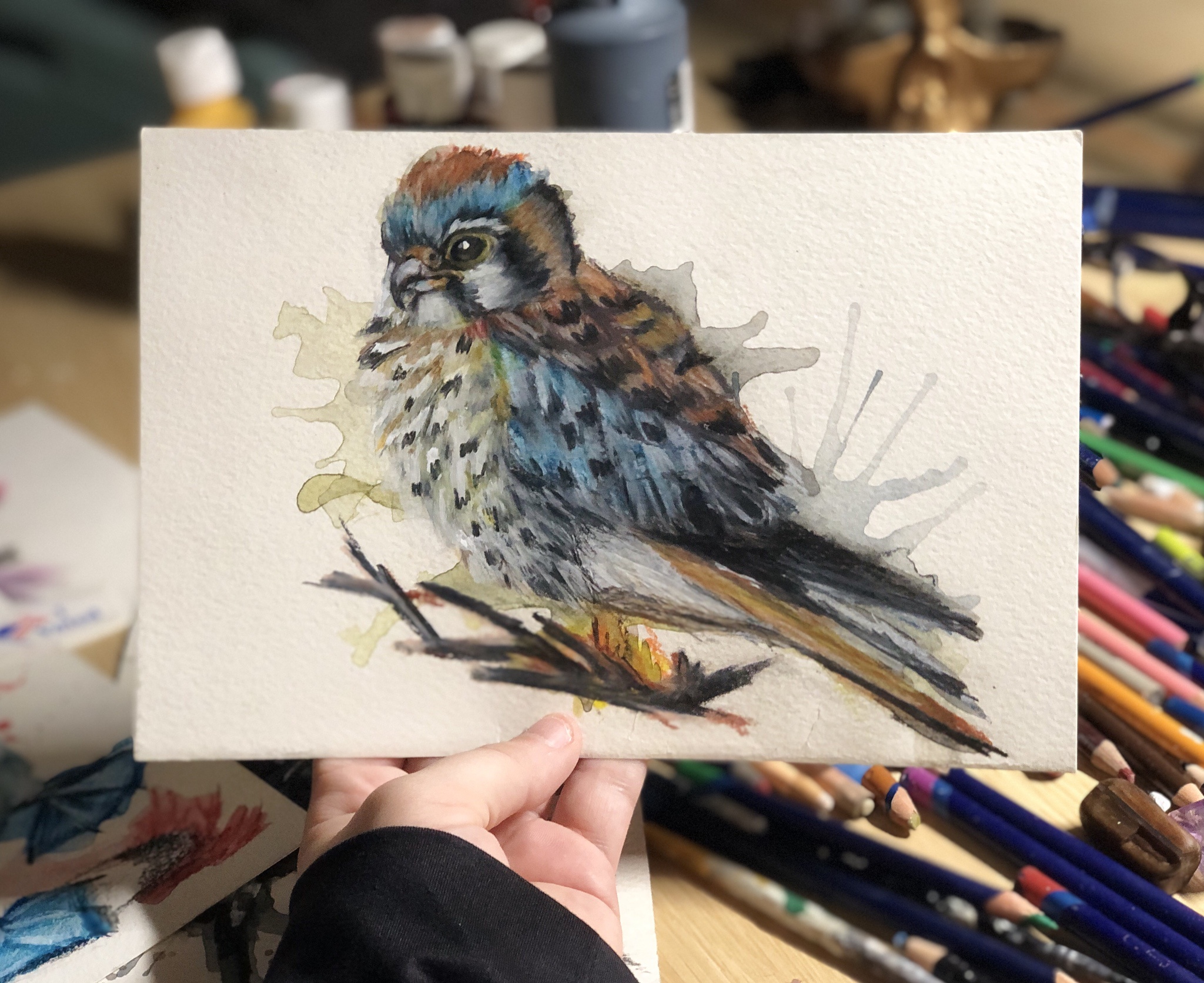 My Artistic Take on an American Kestrel