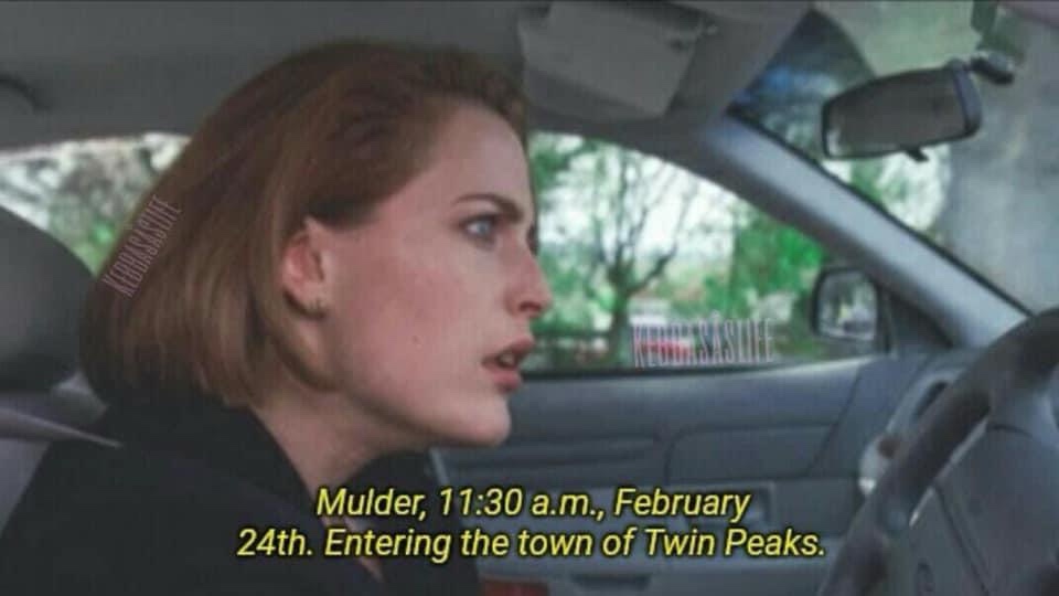 Celebrating Twin Peaks Day with Joy!