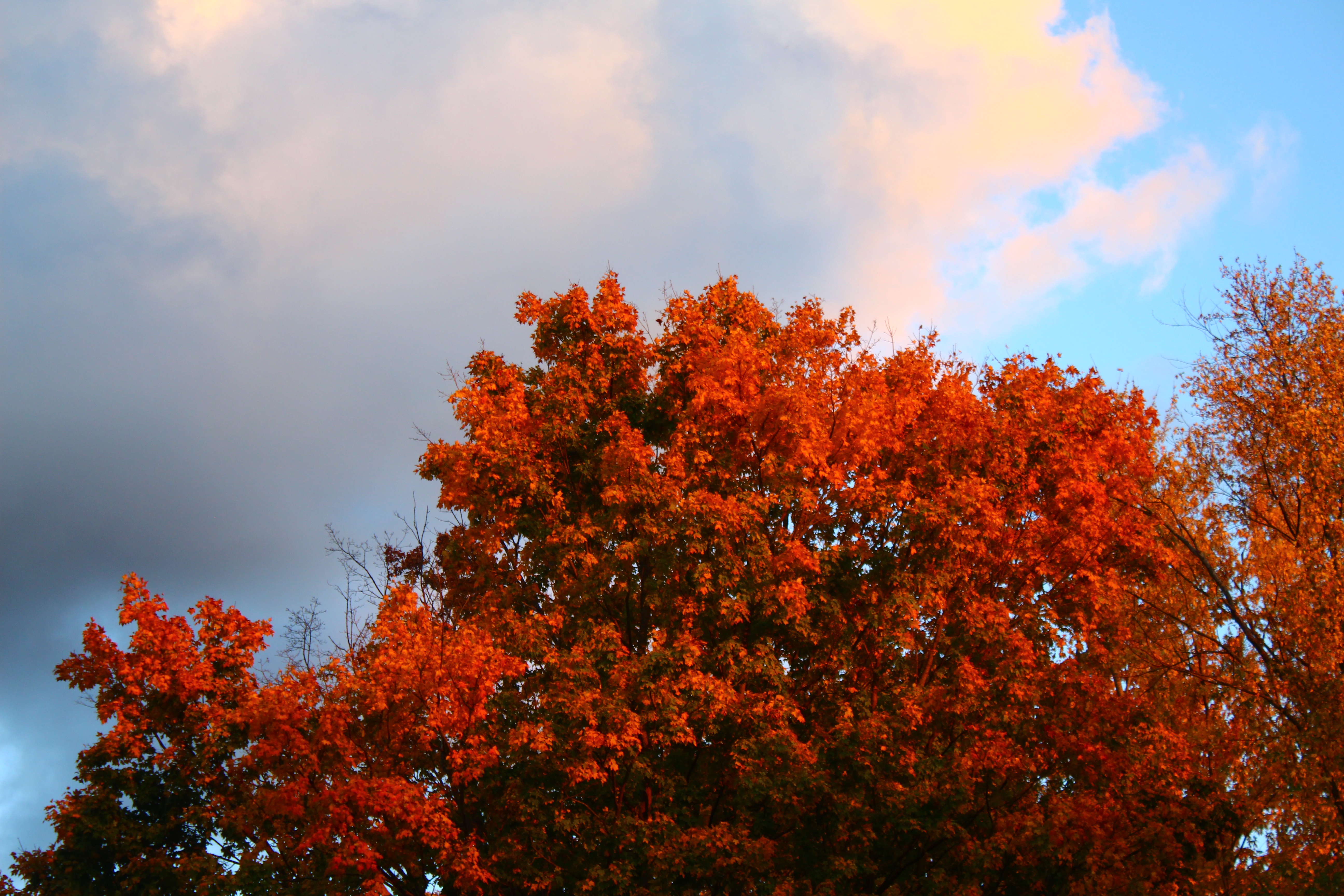 A Gentle Reminder to Appreciate the Simple Beauty Around Us