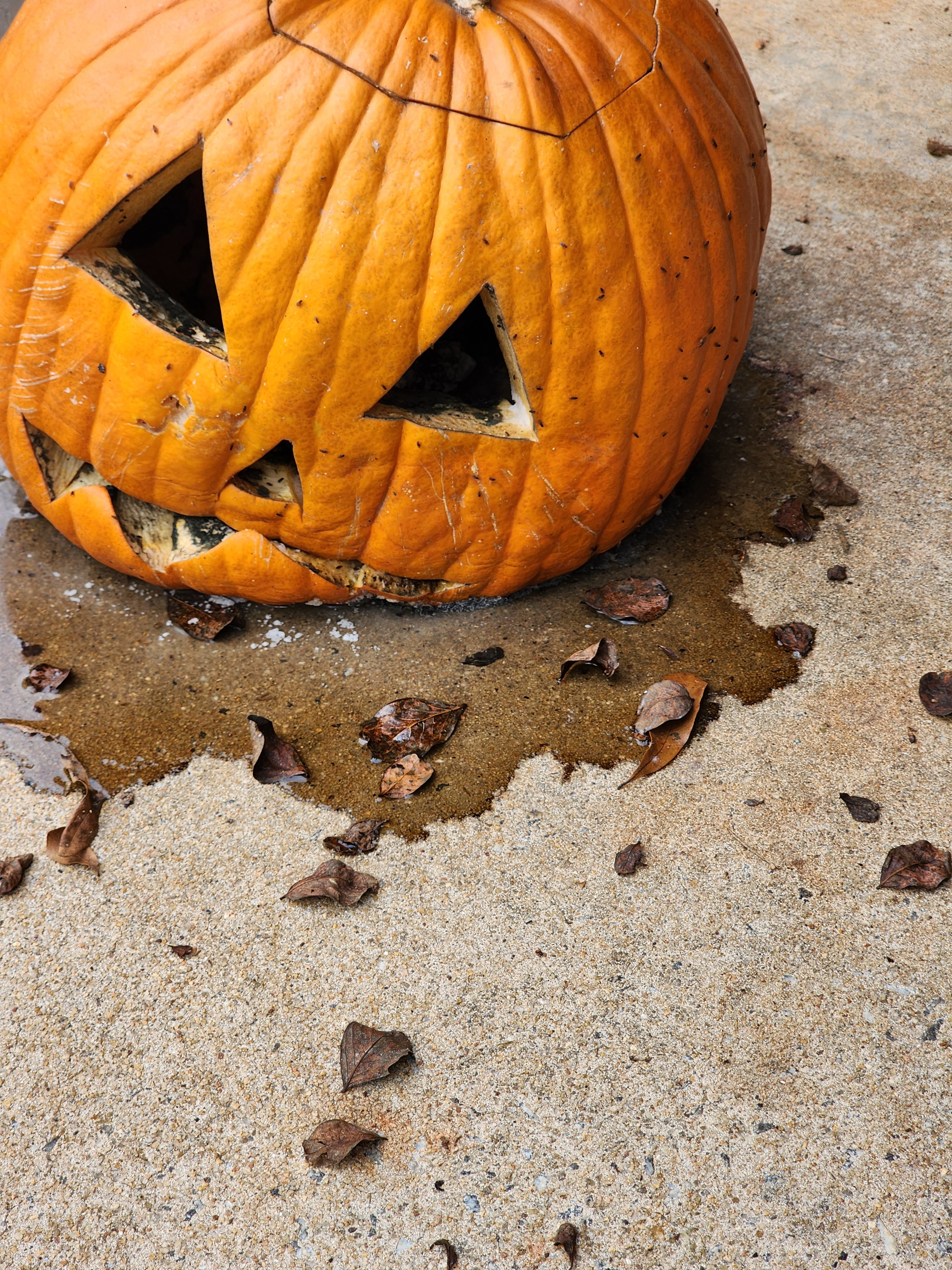 Farewell to Halloween: A Bittersweet Goodbye