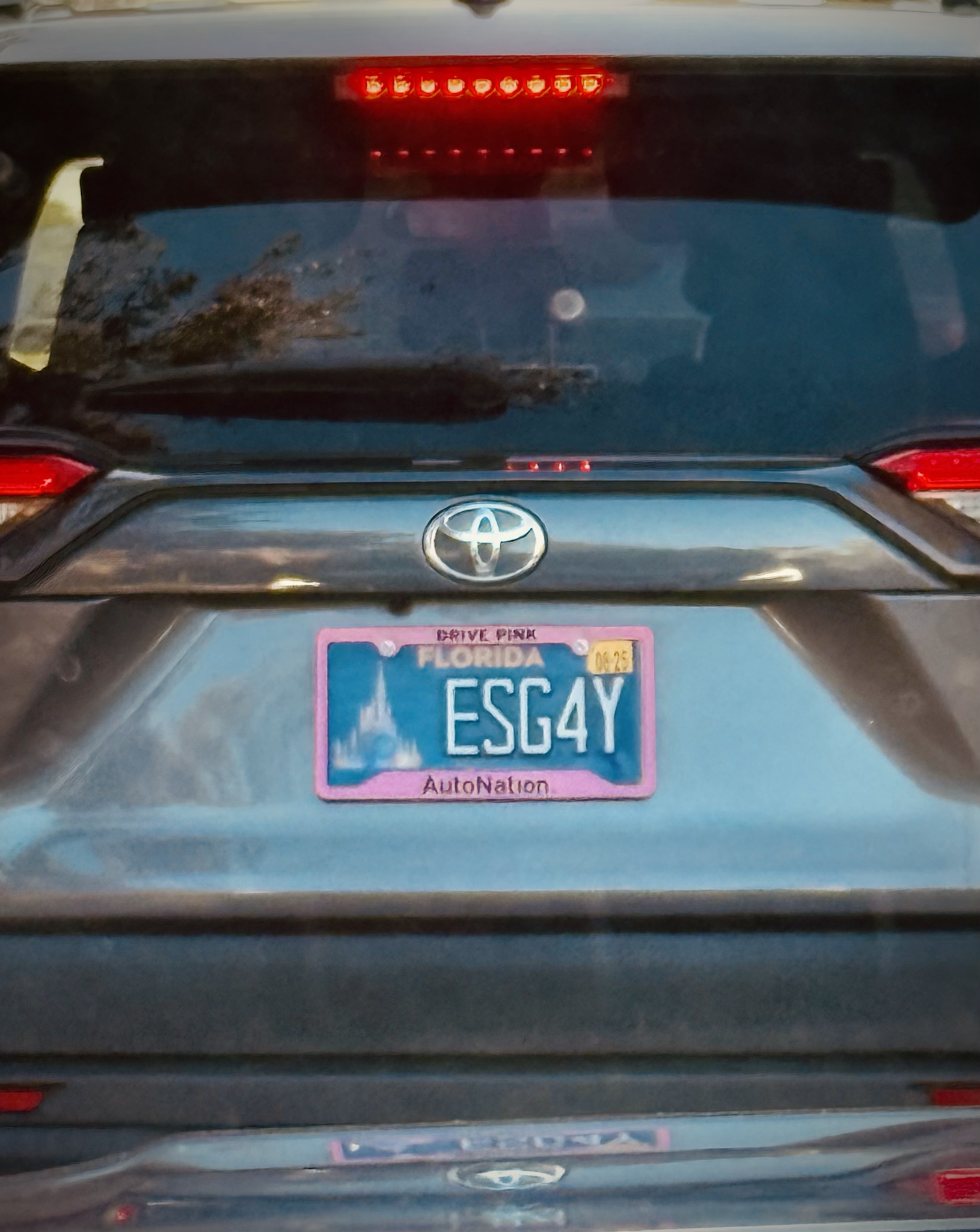 Florida's Unique Vibe