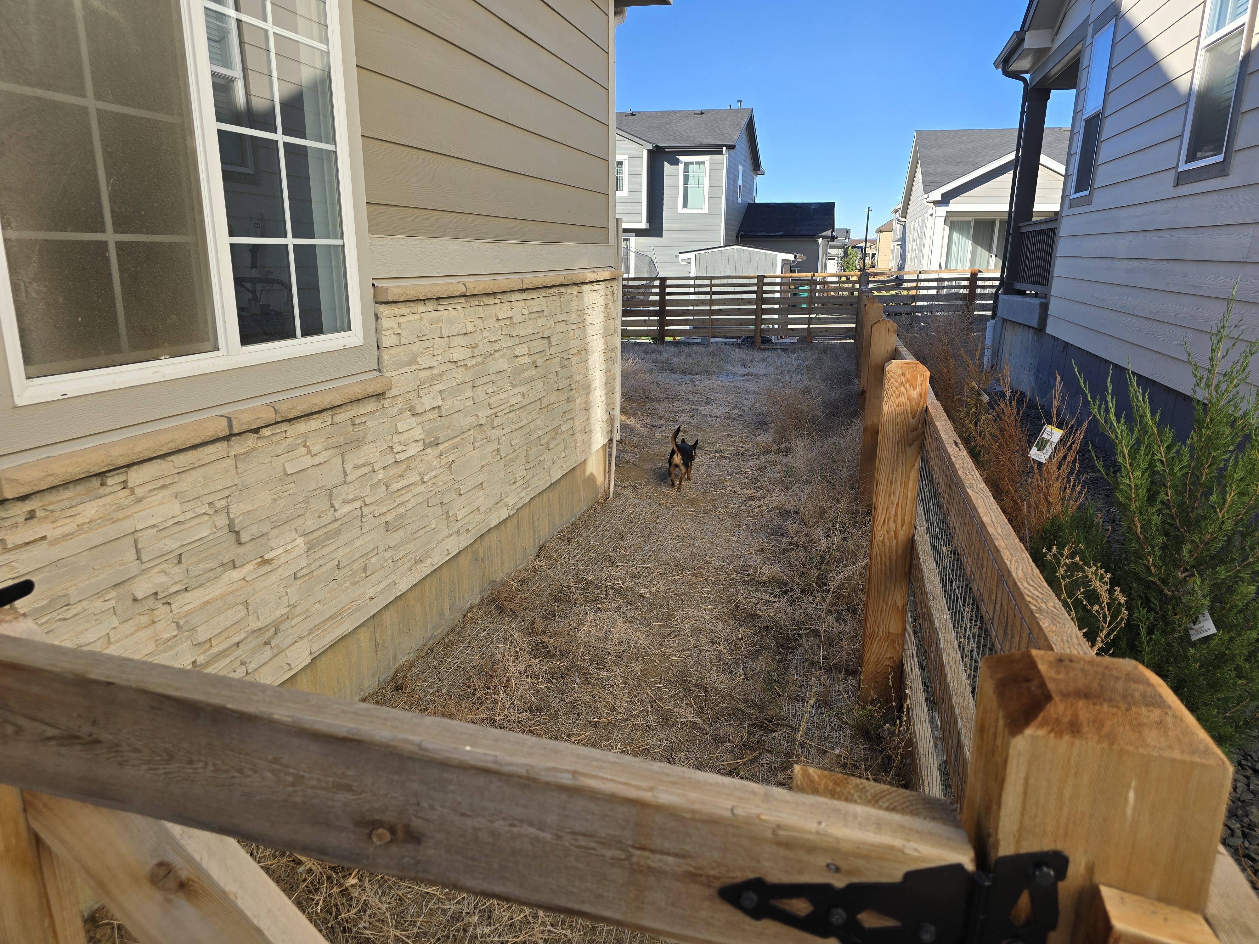 Transforming Spaces: The Art of Landscaping