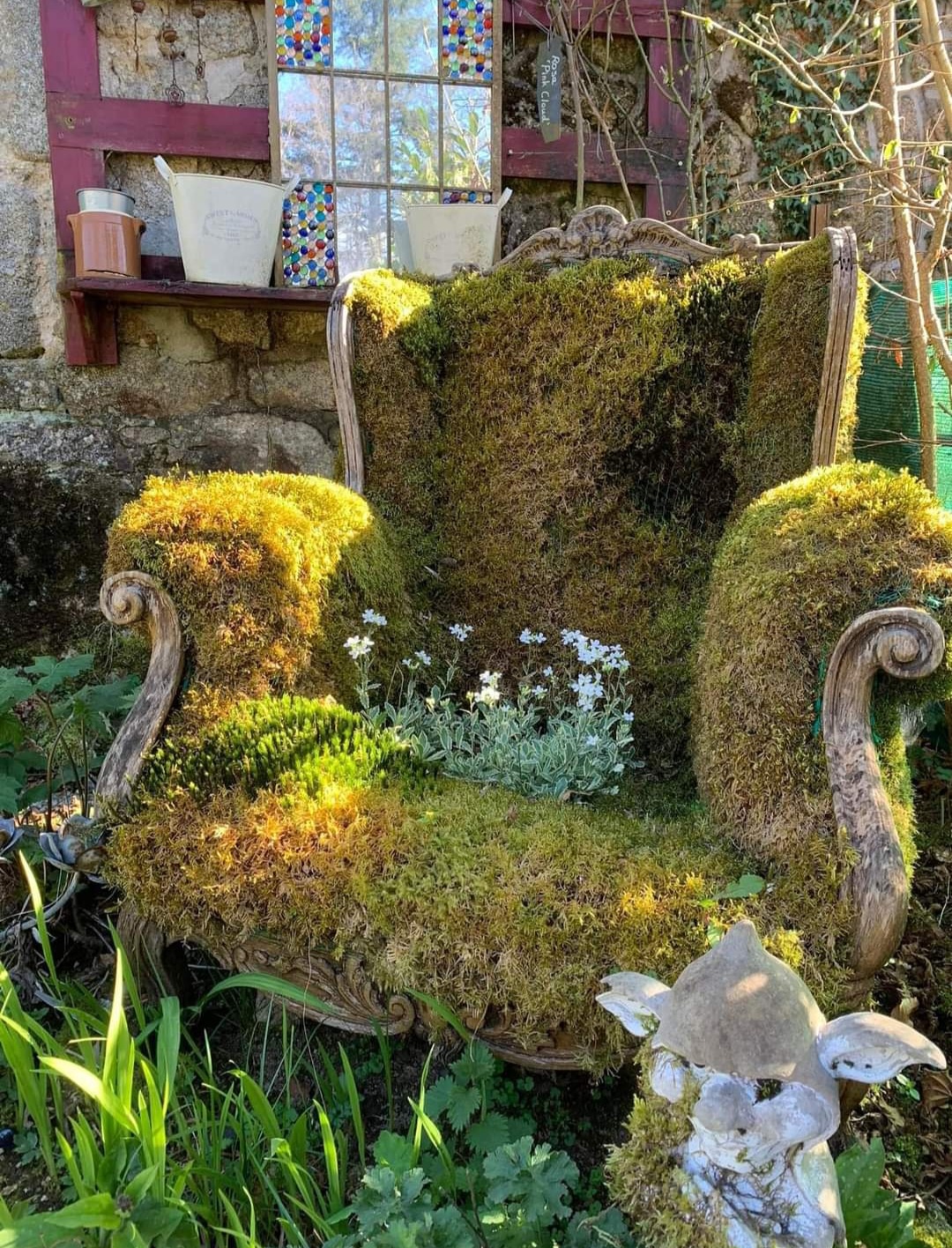 Dreaming of Creating a Secret Garden in My Woods