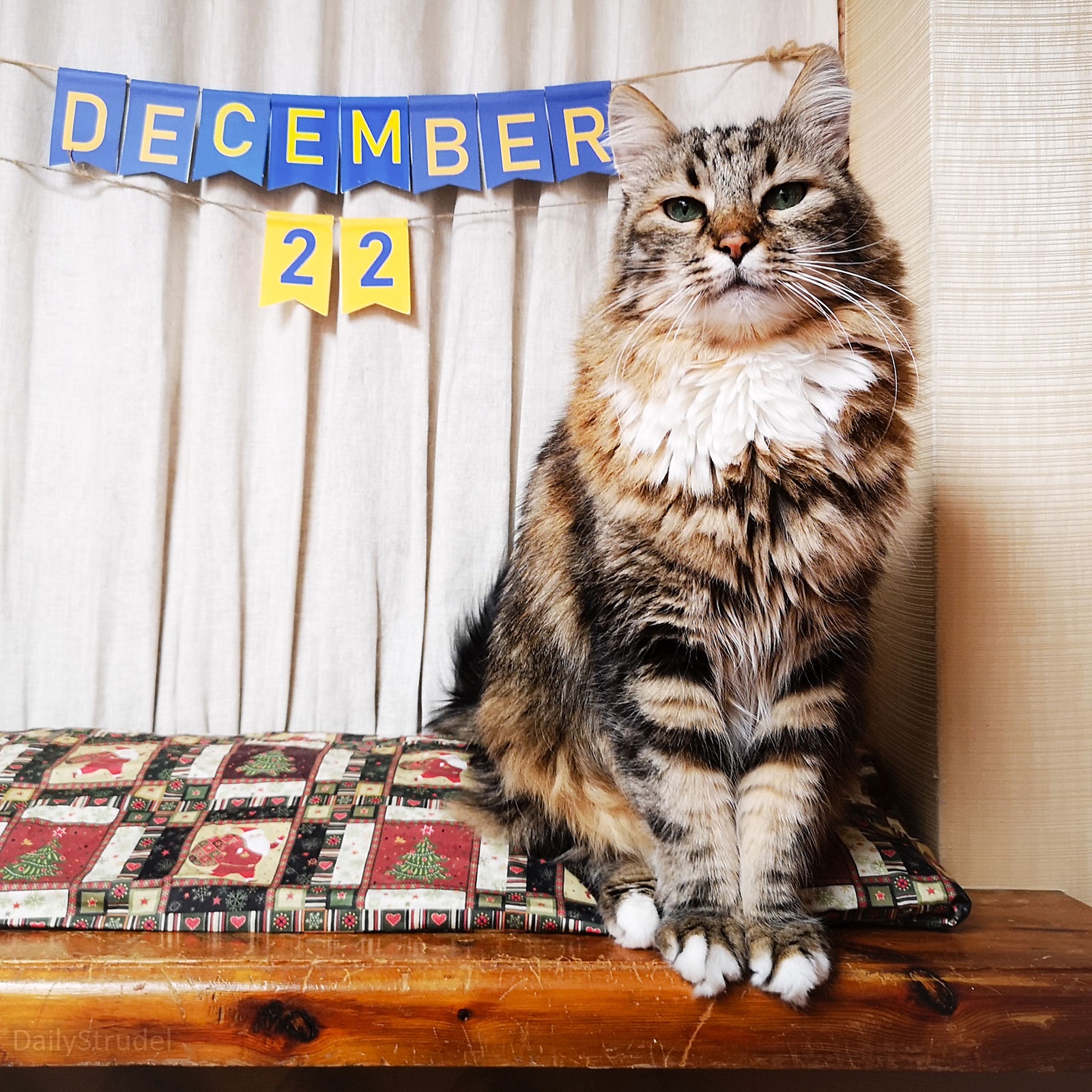 Mark Your Calendars: December 22