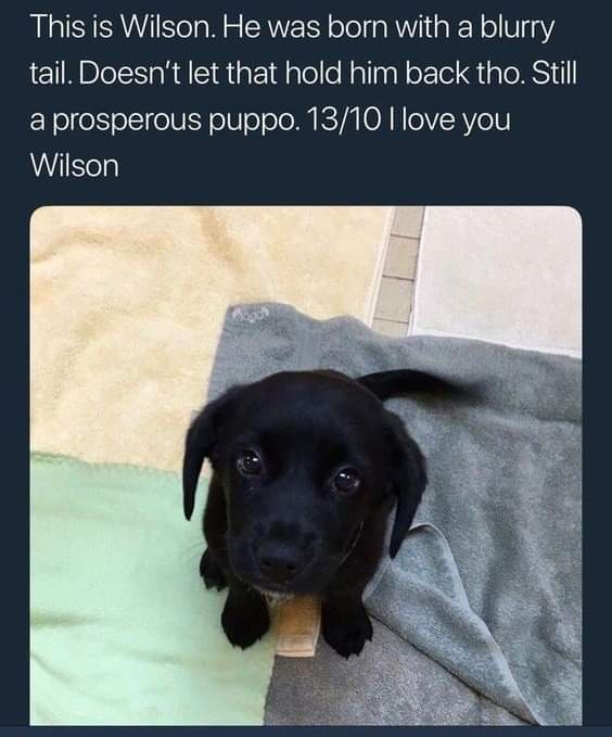 Sunday Meme Extravaganza: Random Stolen Gems, Part 2
