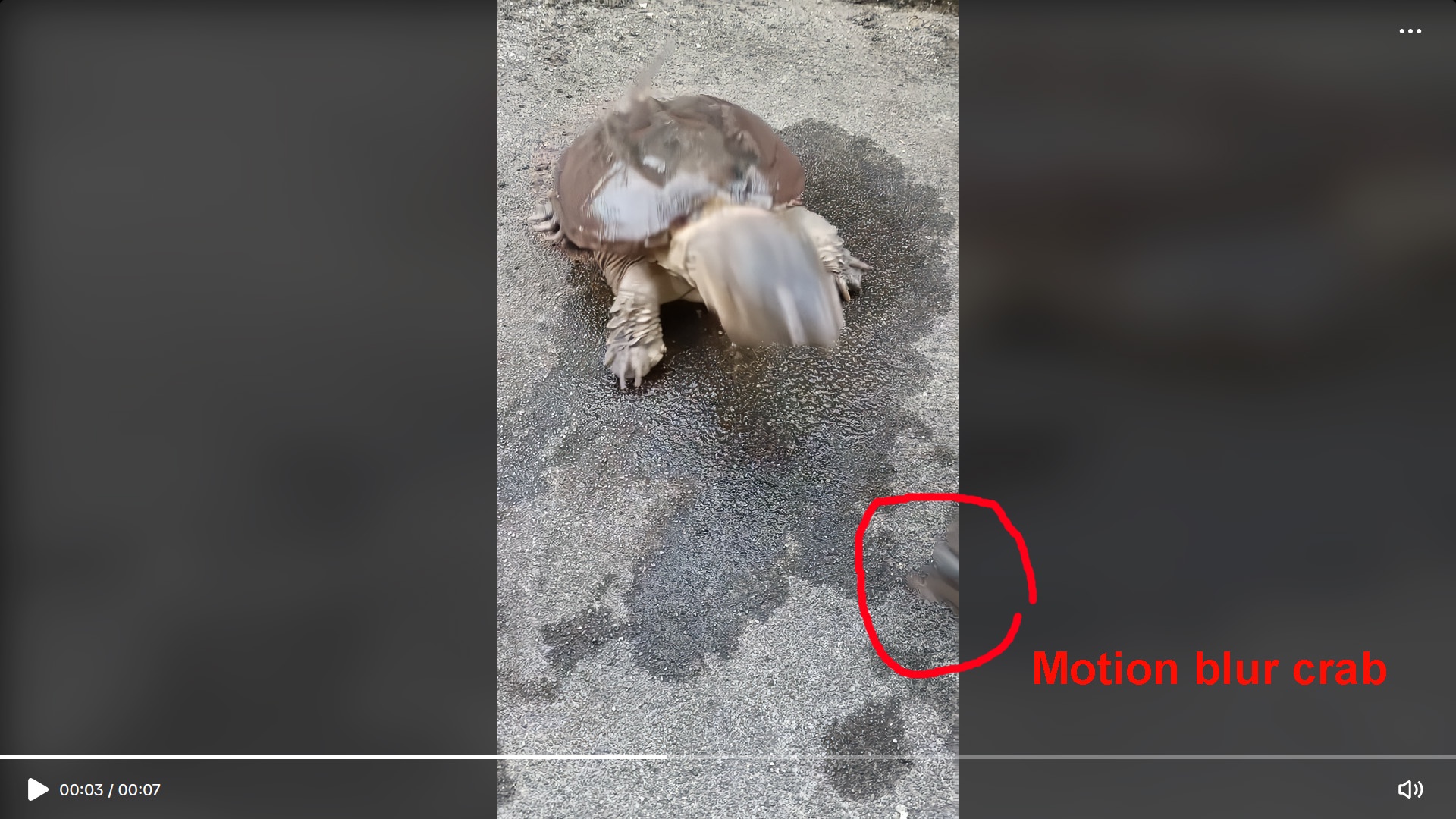 The Crab That Was Ejected Off-Screen