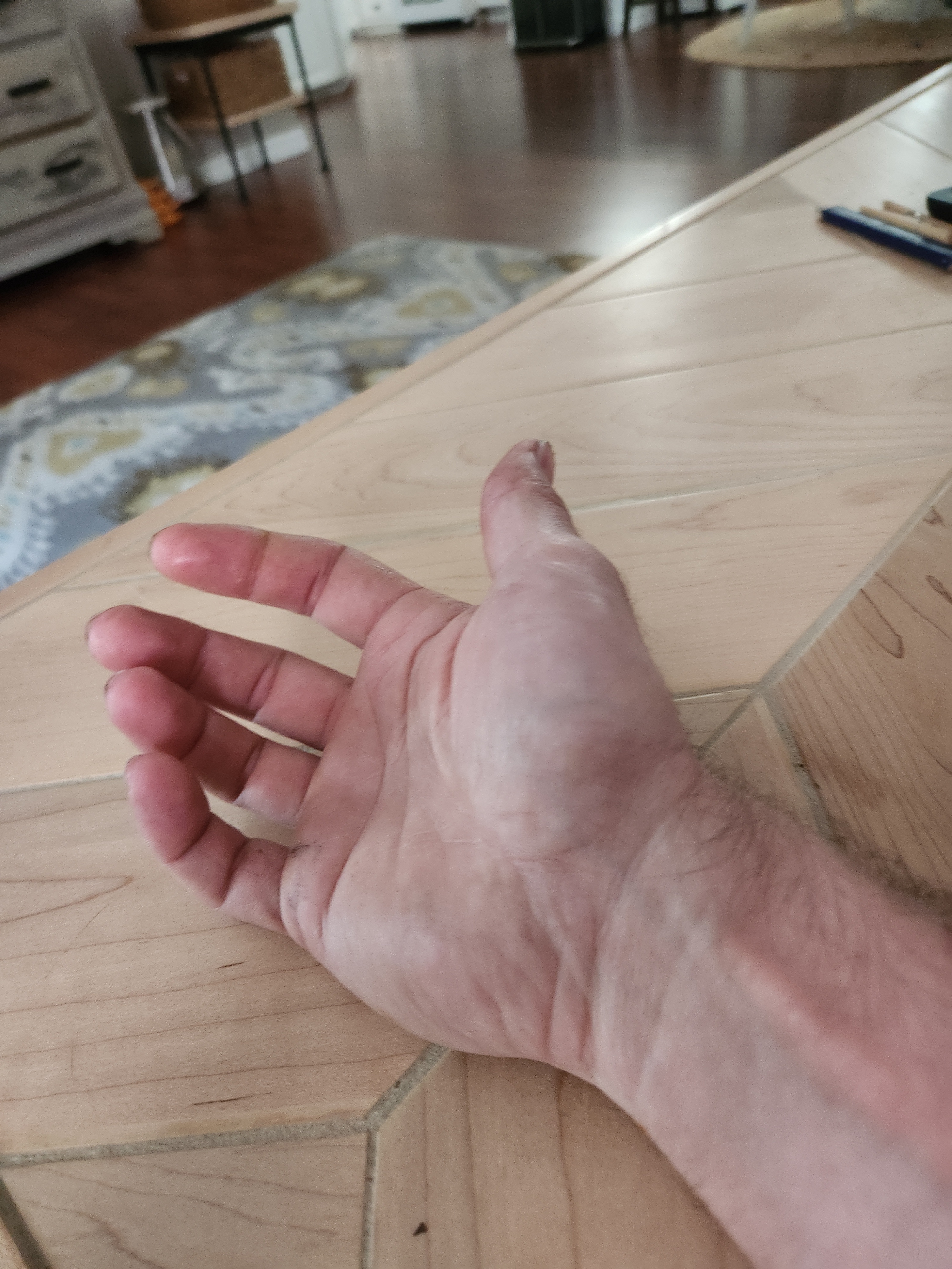 A Moment of Stillness: My Hand at Rest