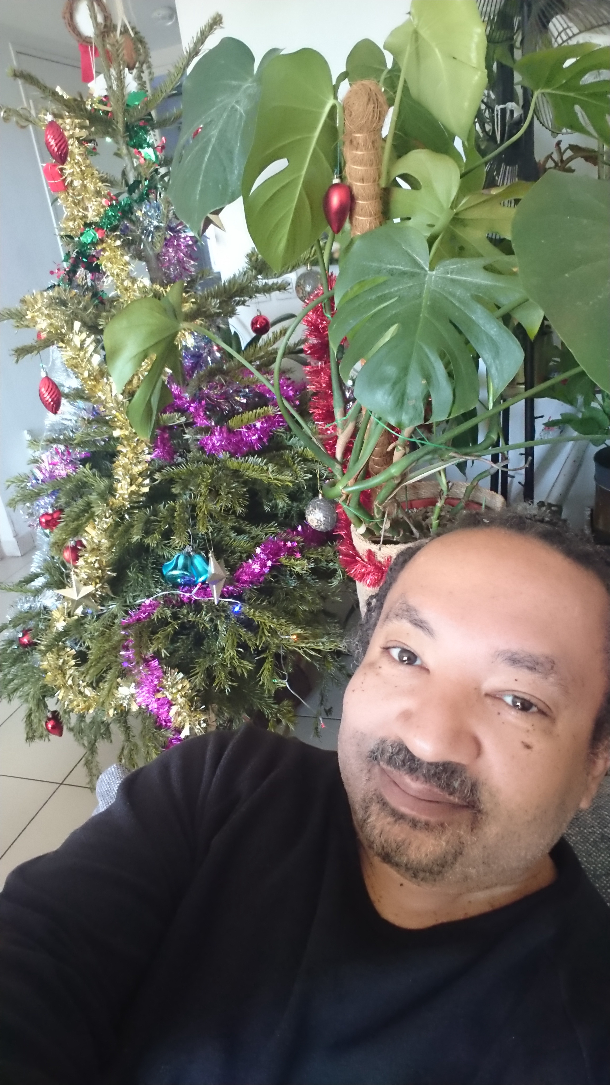 Celebrating Christmas with Joyeux Noël Wishes!