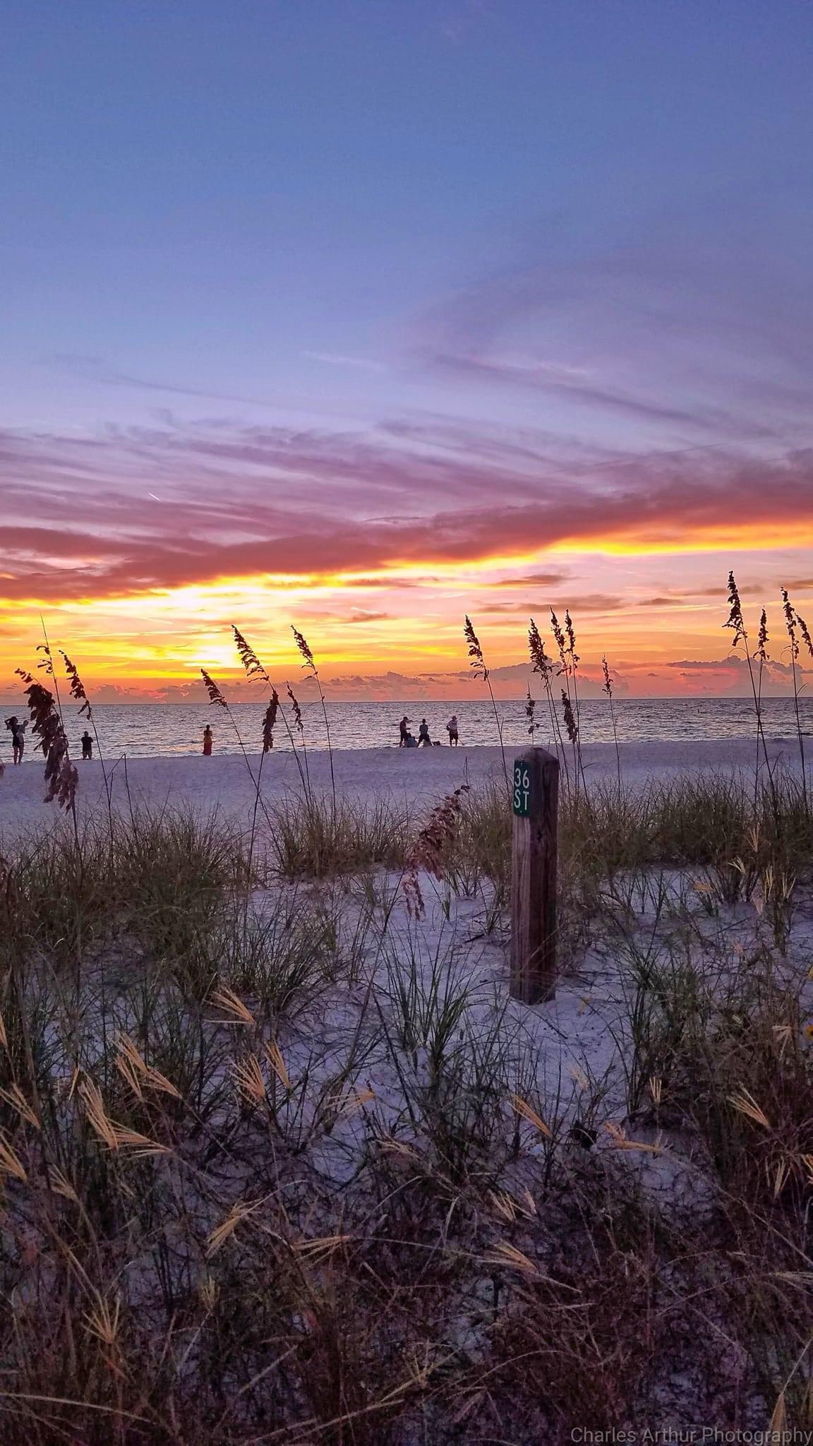 Chasing the Horizon: A Breathtaking Sunset