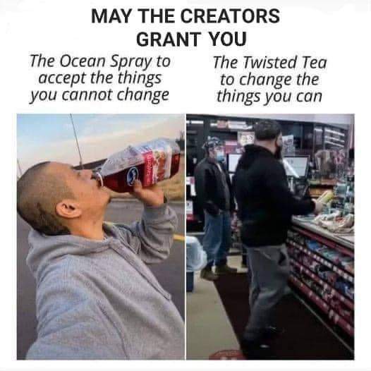 The Ultimate Beverages for Knowledge Seekers