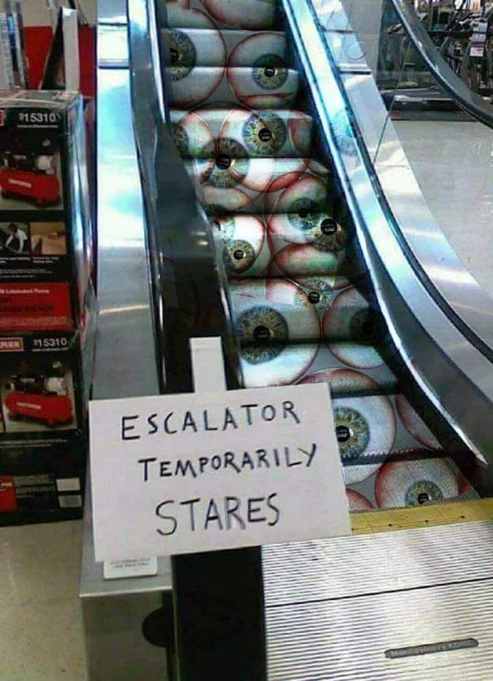 Apologies for the Inconvenience: A Classic Excuse