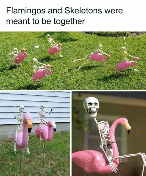 A Whimsical World of Flamingos and Skeletons