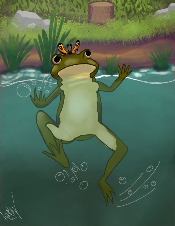 A Frog Making Waves in the Water