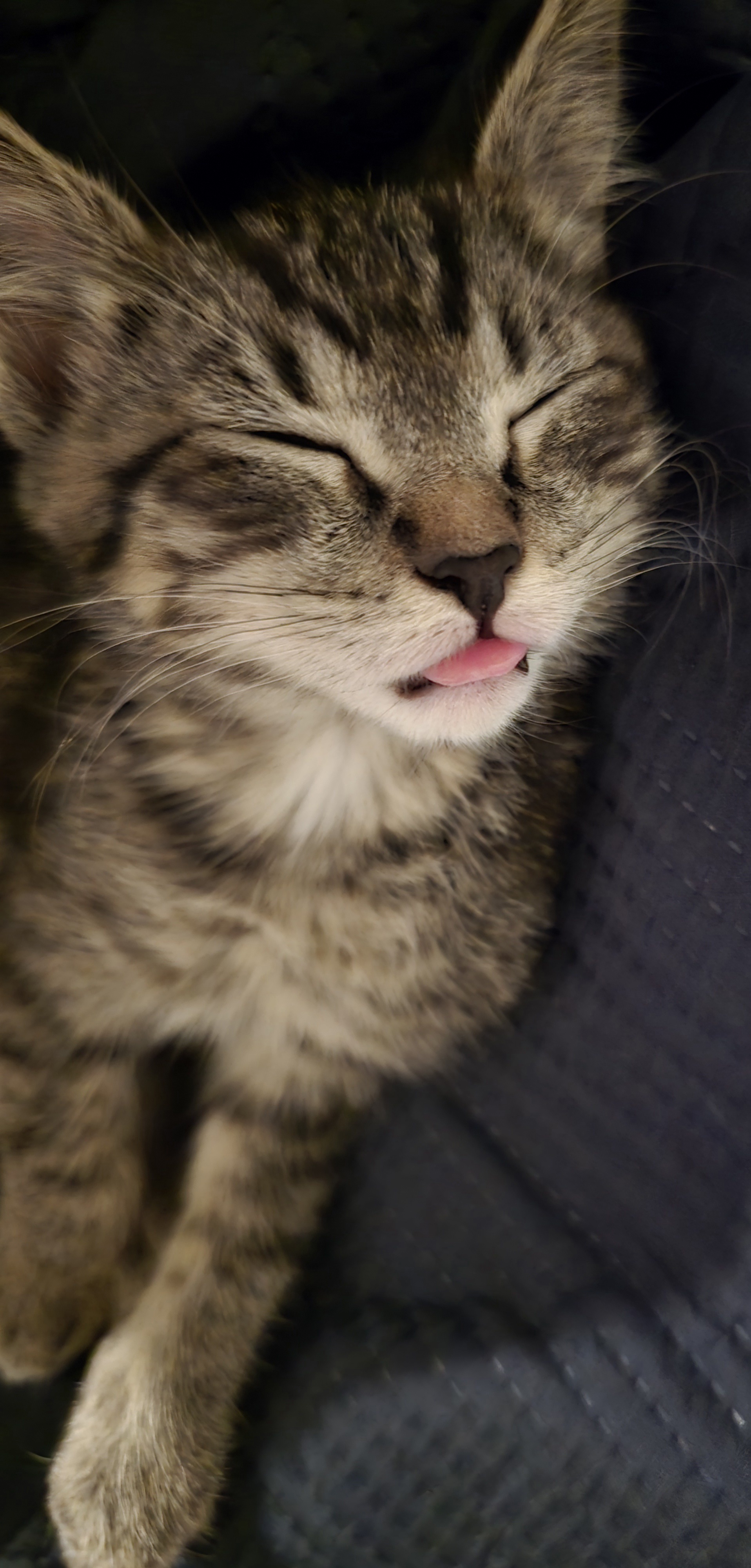 Sharing This Adorable Moment with the World