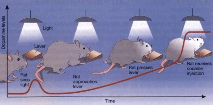 When science textbooks reveal their secrets in the most unexpected ways