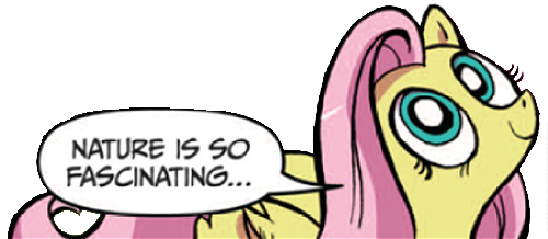 Sunday Pony Dump: A Collection of Reactions to Brighten Your Day