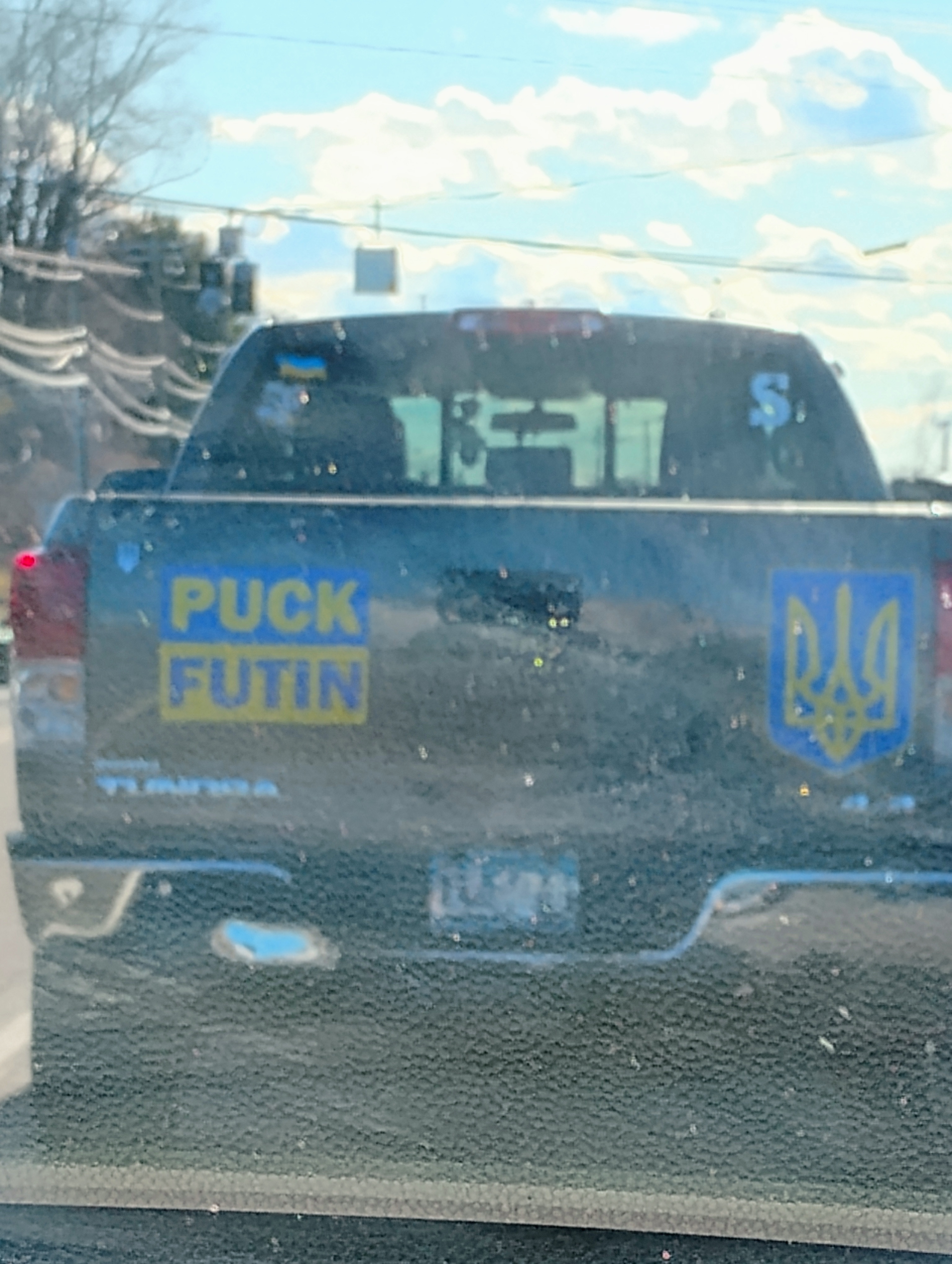 A Glimpse of Life in Connecticut: What I Spotted