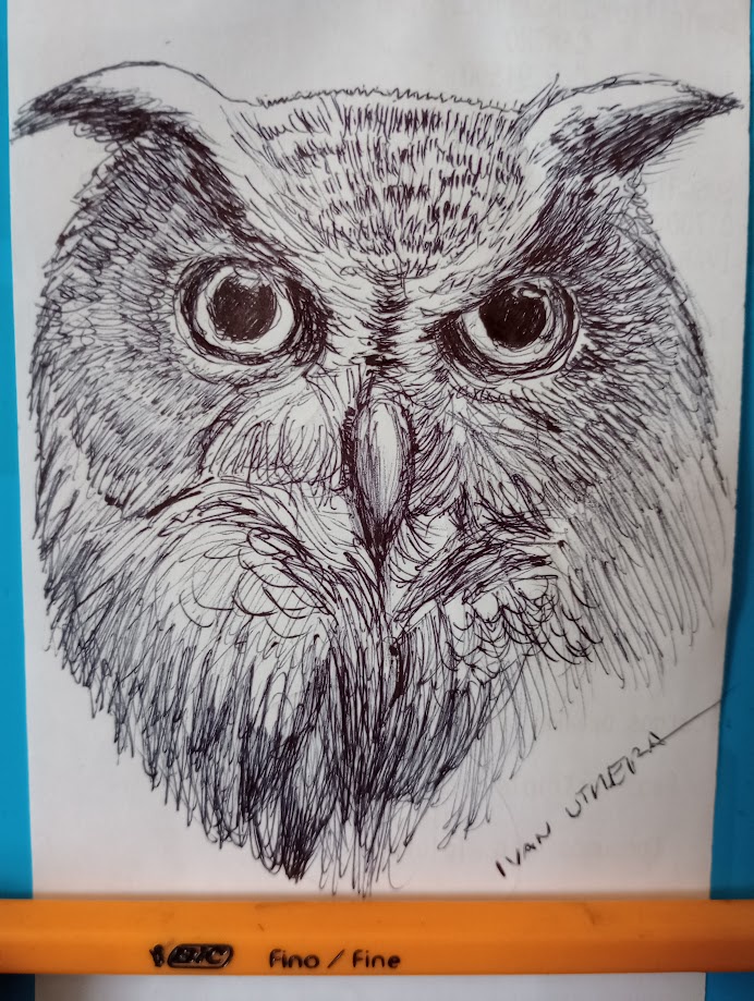 The Enigmatic Owl