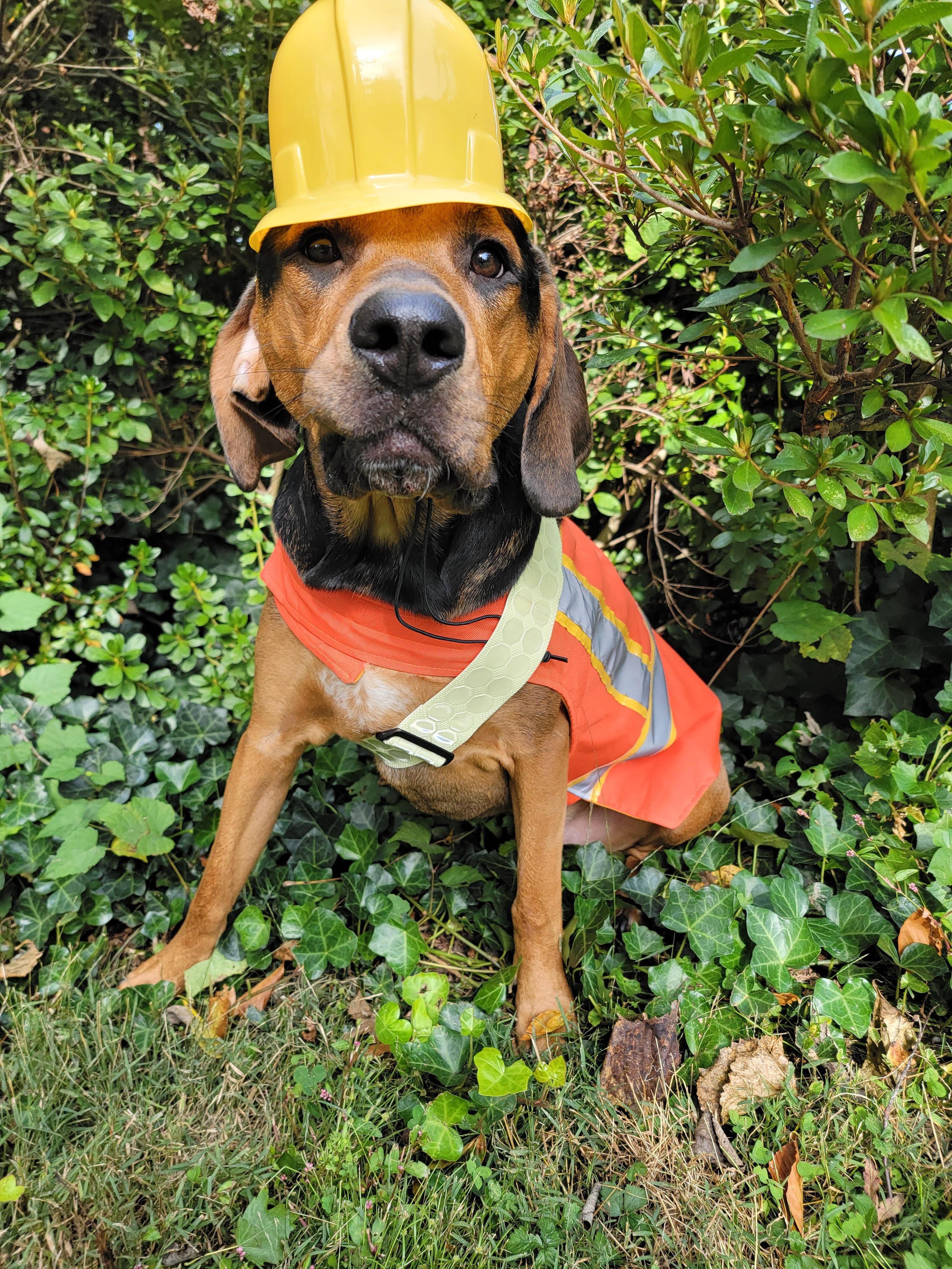 Edgar Takes Charge as Chief of Safety