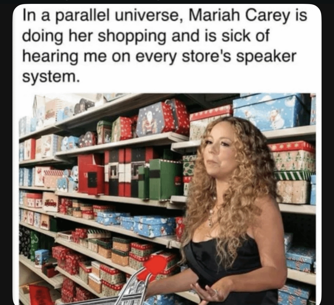 Journeying Through the Multiverse