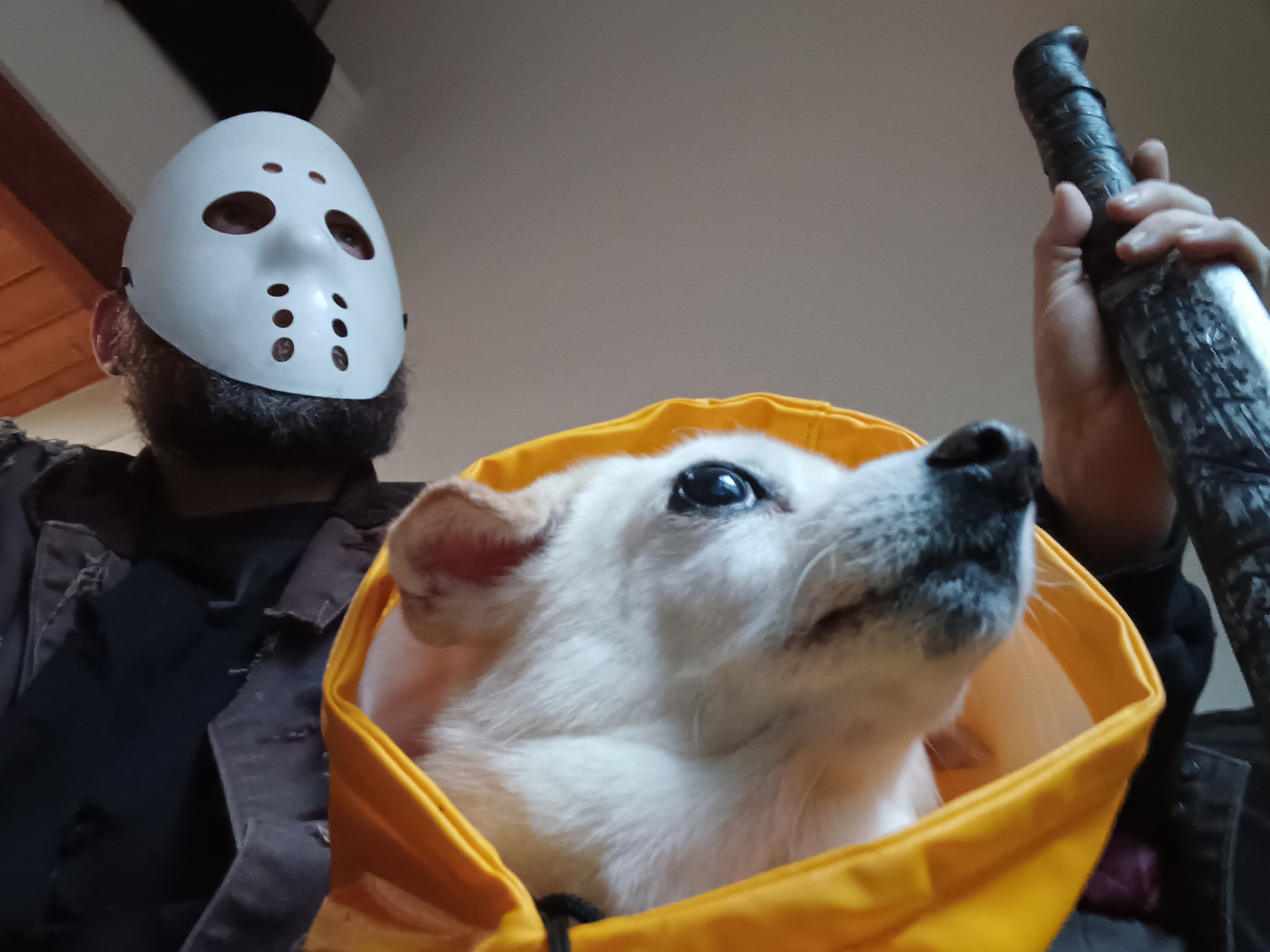 Wishing Everyone a Happy Halloween!