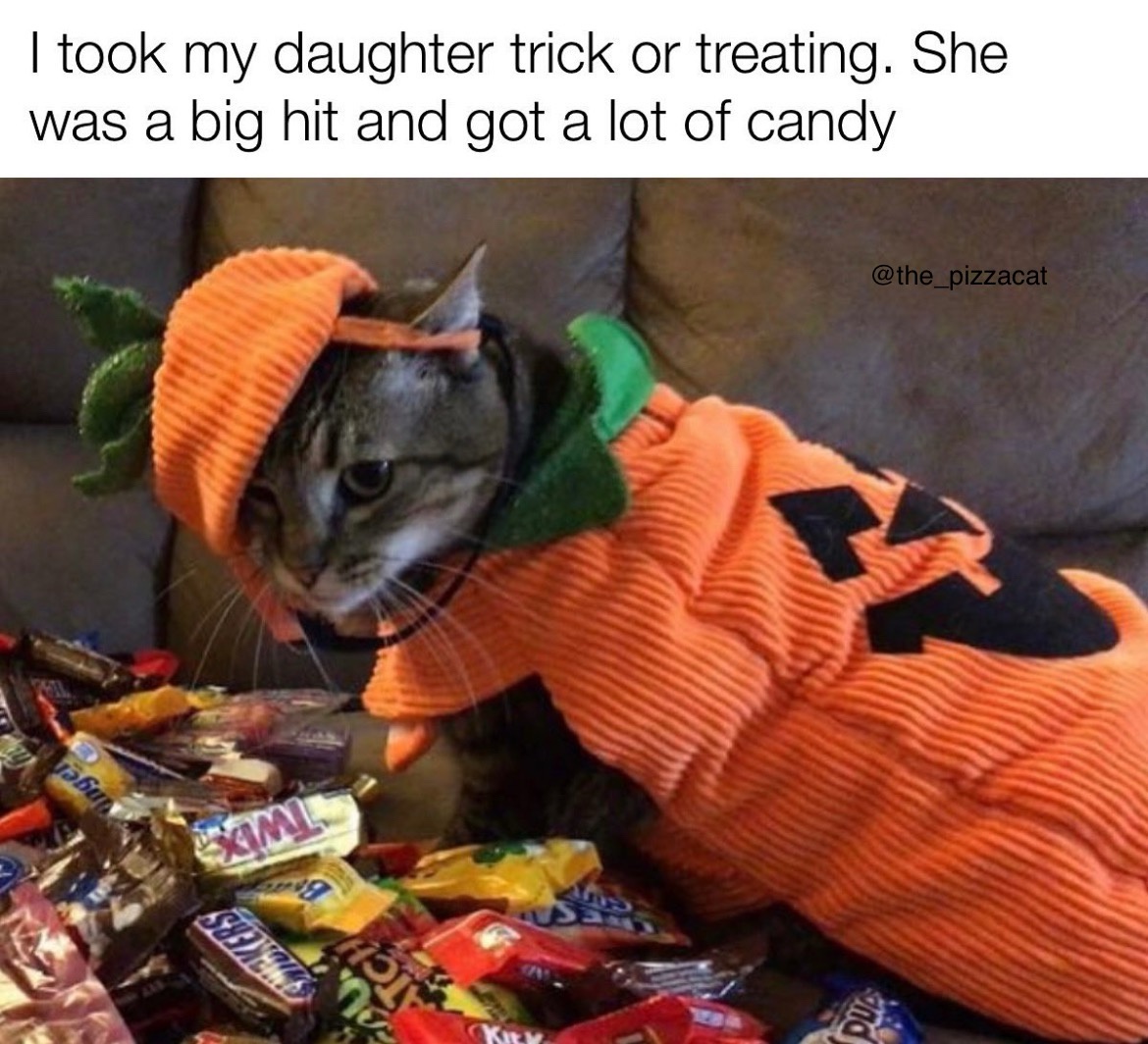 Wishing You a Spooky Halloween!